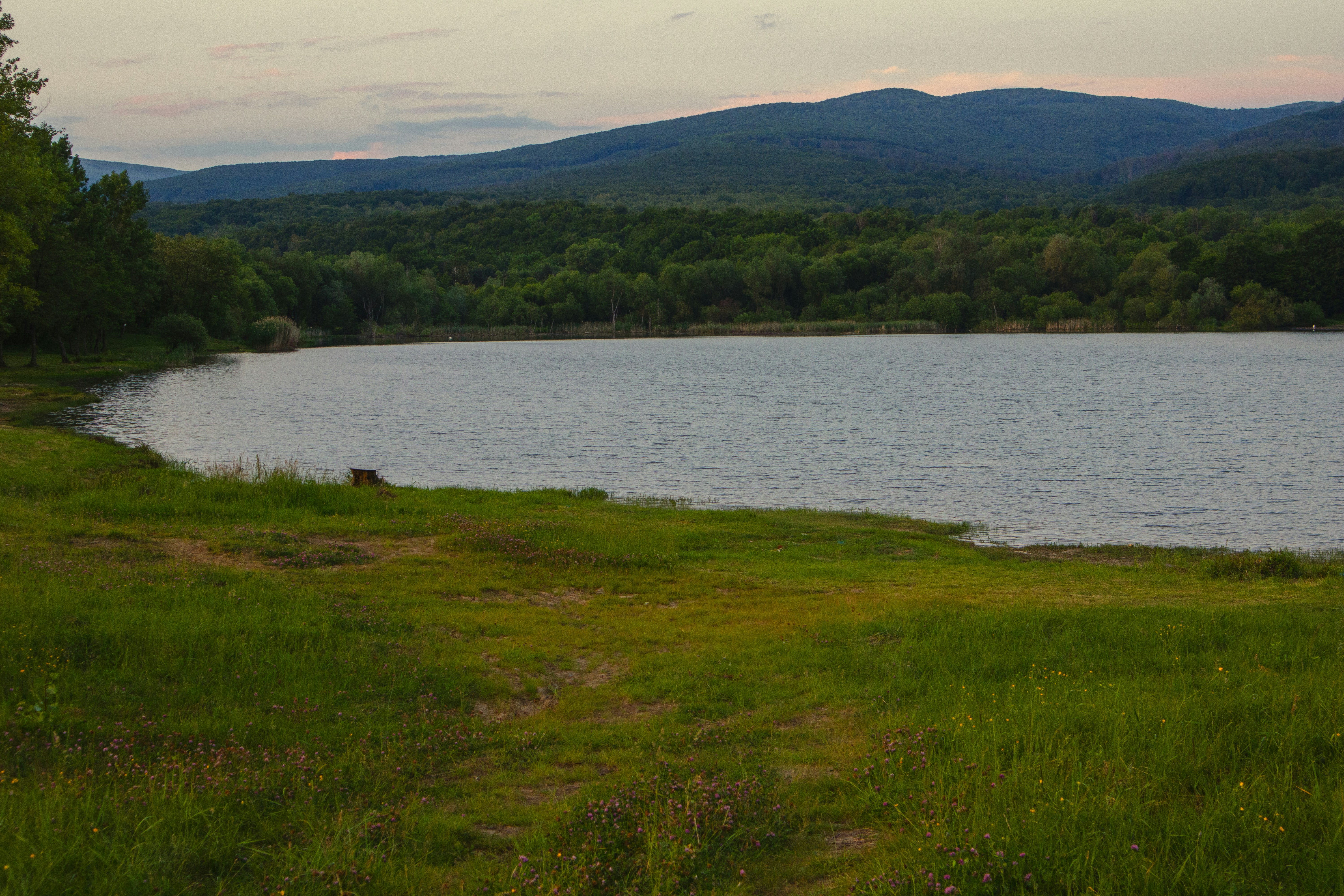Mountain Brook Reservoir Conservation Easement