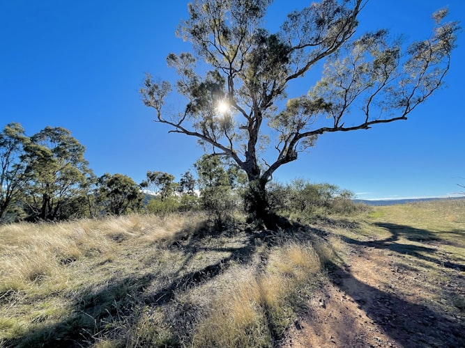 Preparing for a Day Walk in Australian Conditions