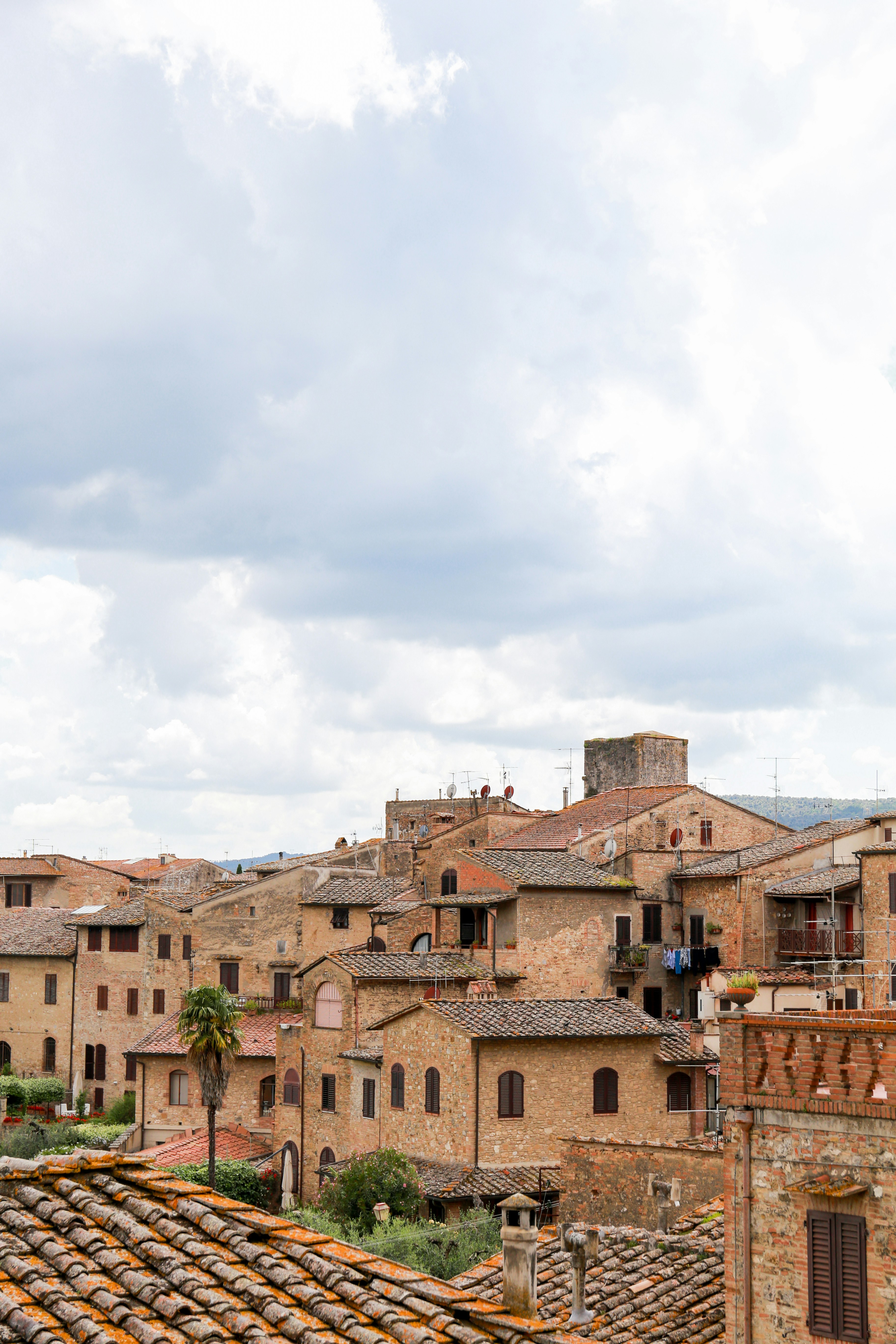 Photo by ardalanaameli