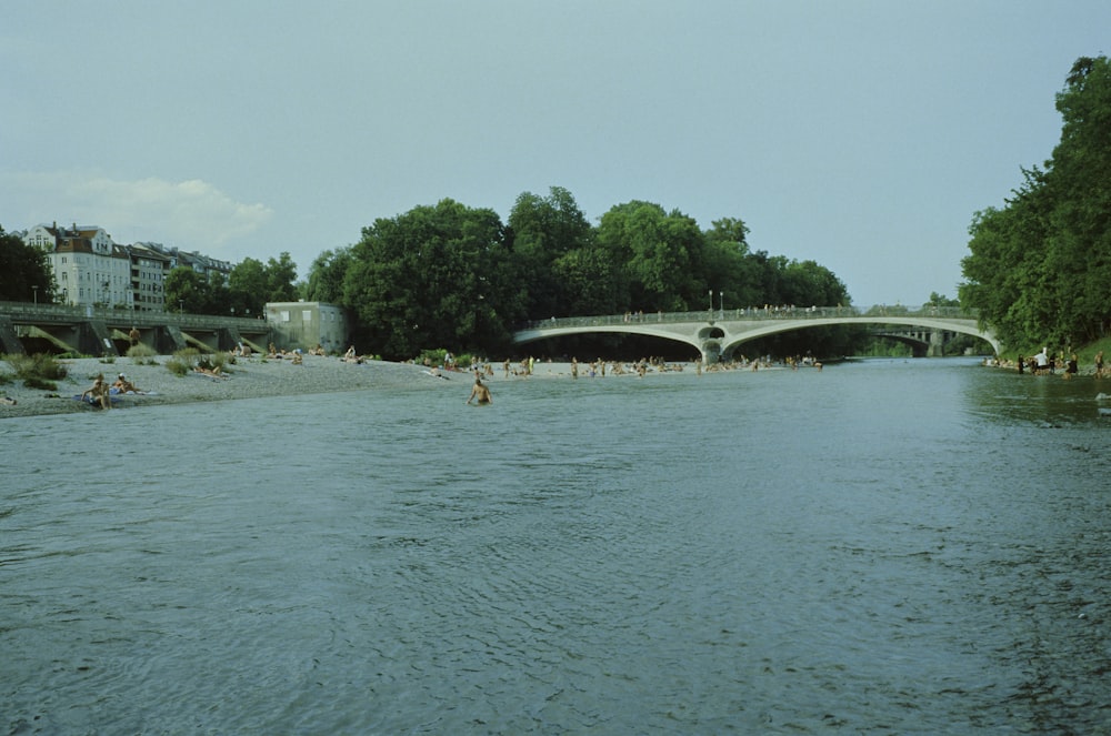 people are swimming in the water near a bridge