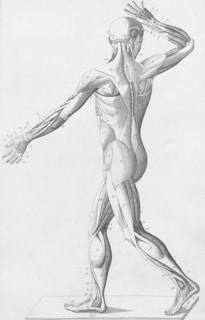 Health Vibes - The body breaks down food into glucose, insulin uses it for fuel or fat storage