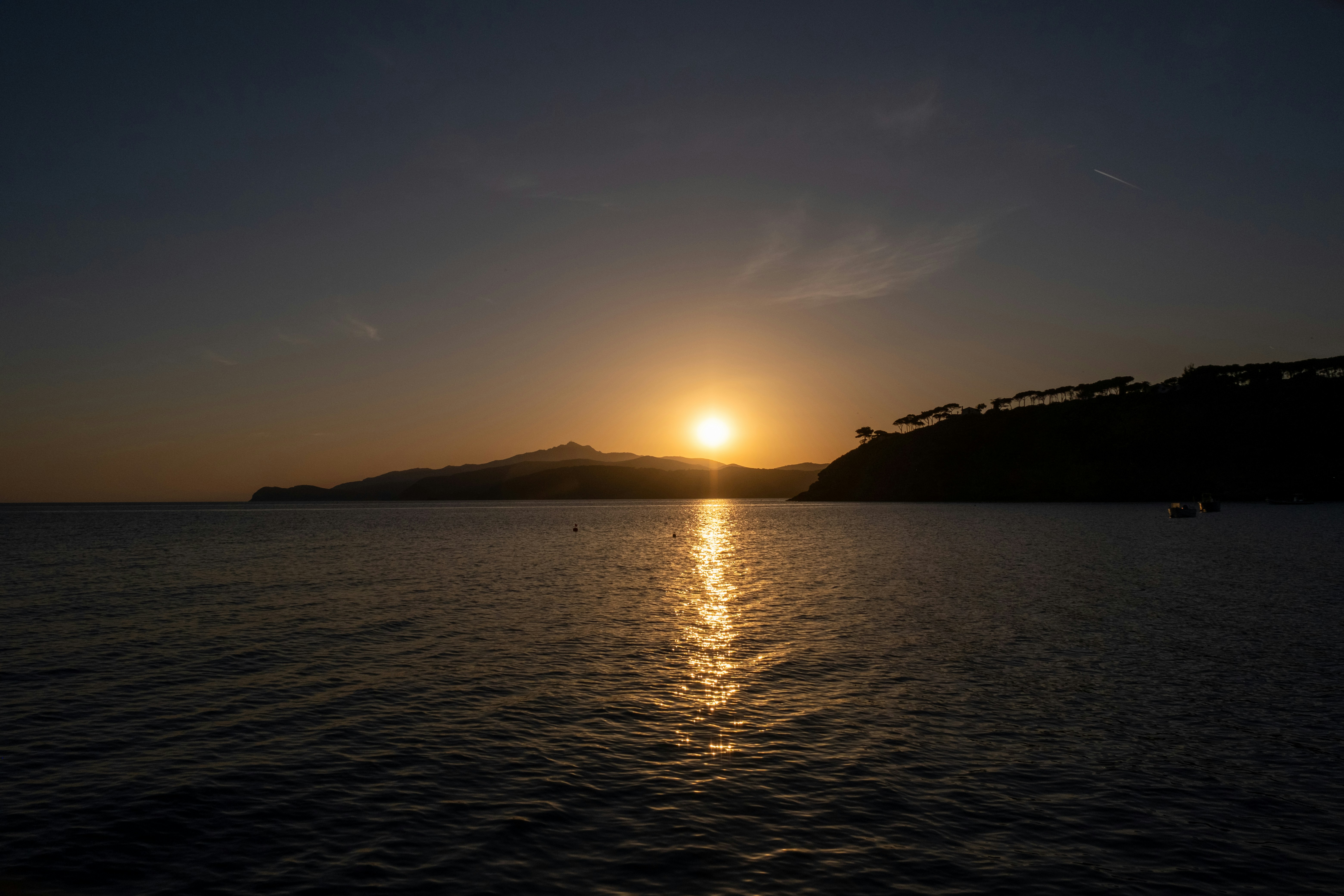 Photo by francesco_ungaro