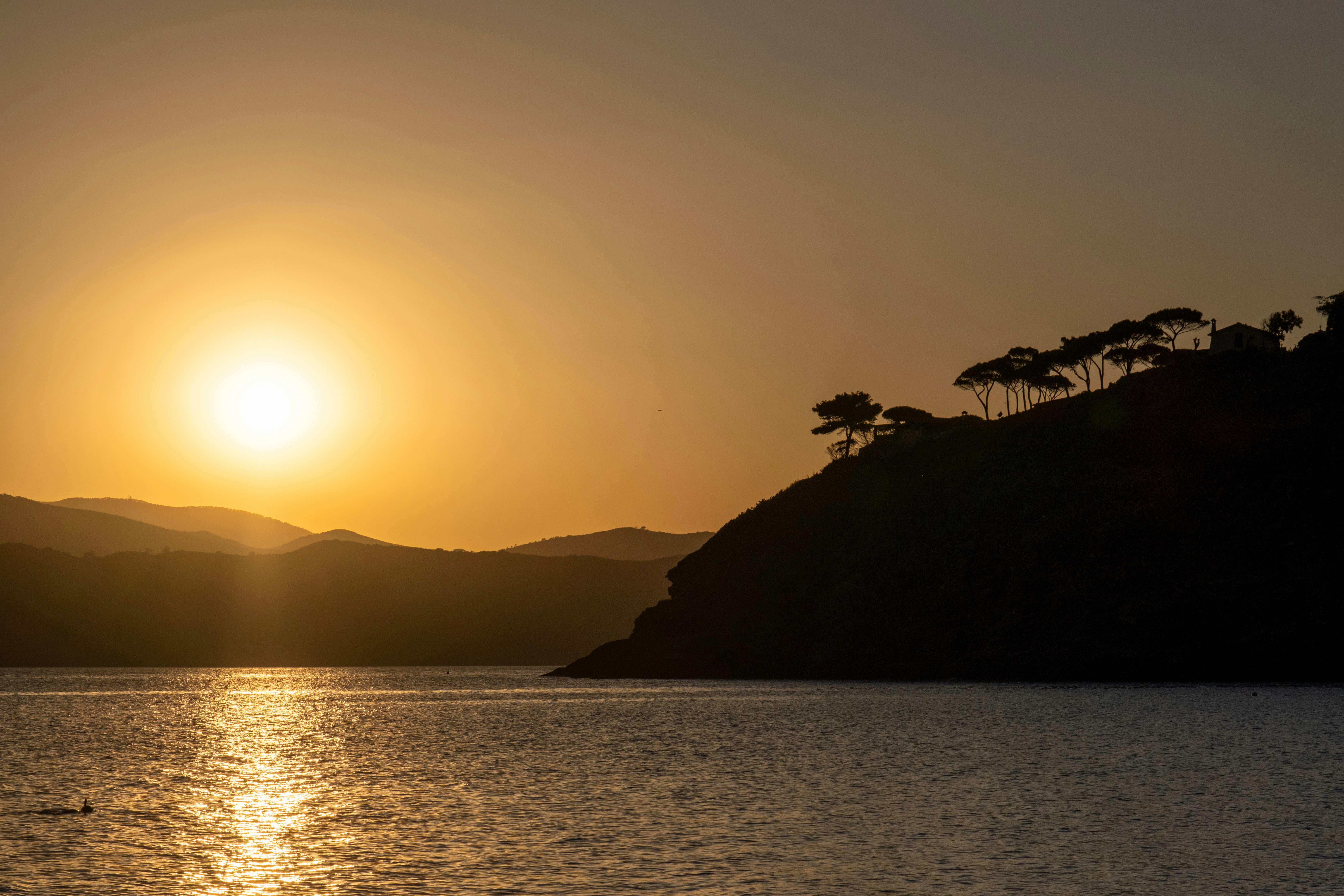 Photo by francesco_ungaro