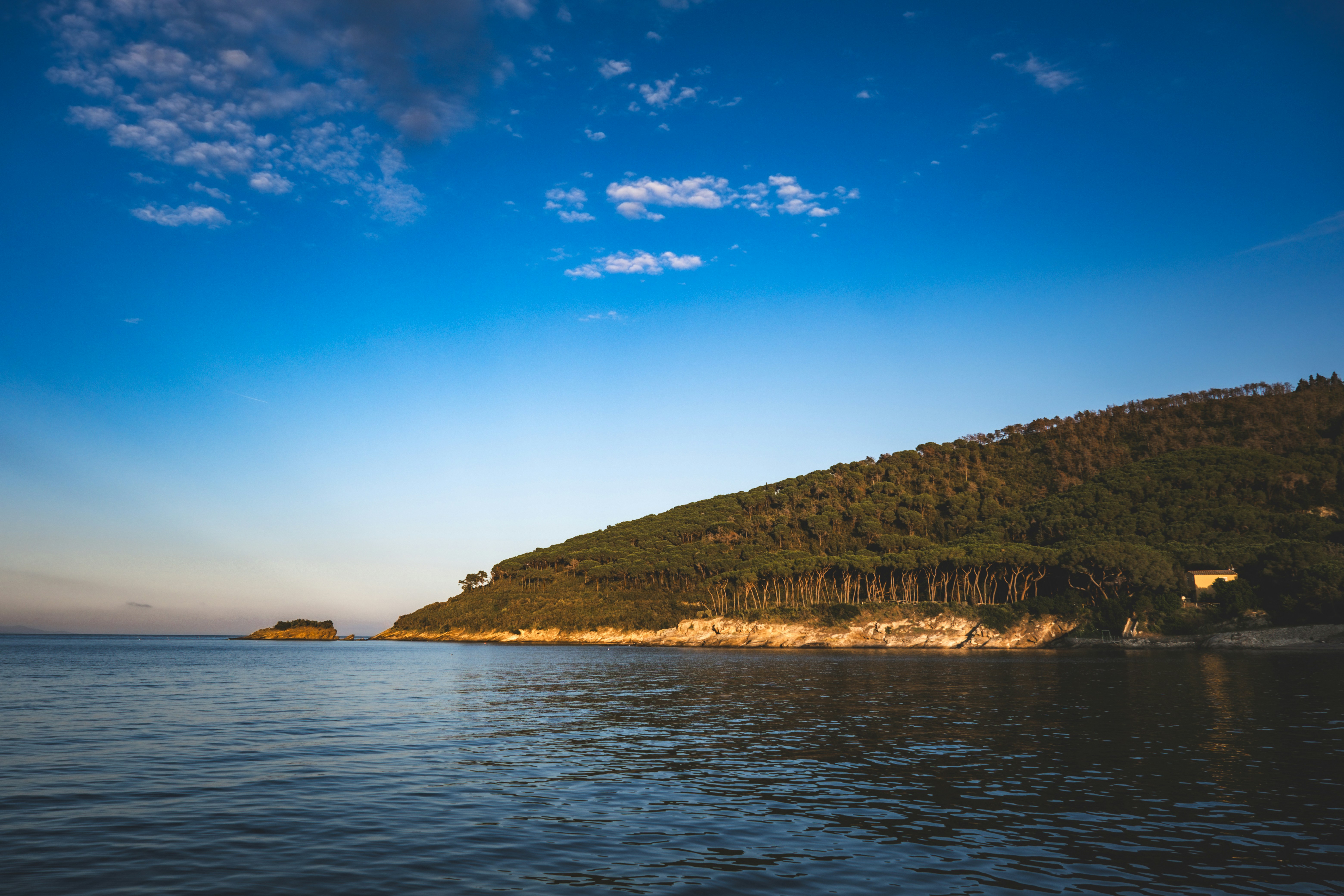 Photo by francesco_ungaro