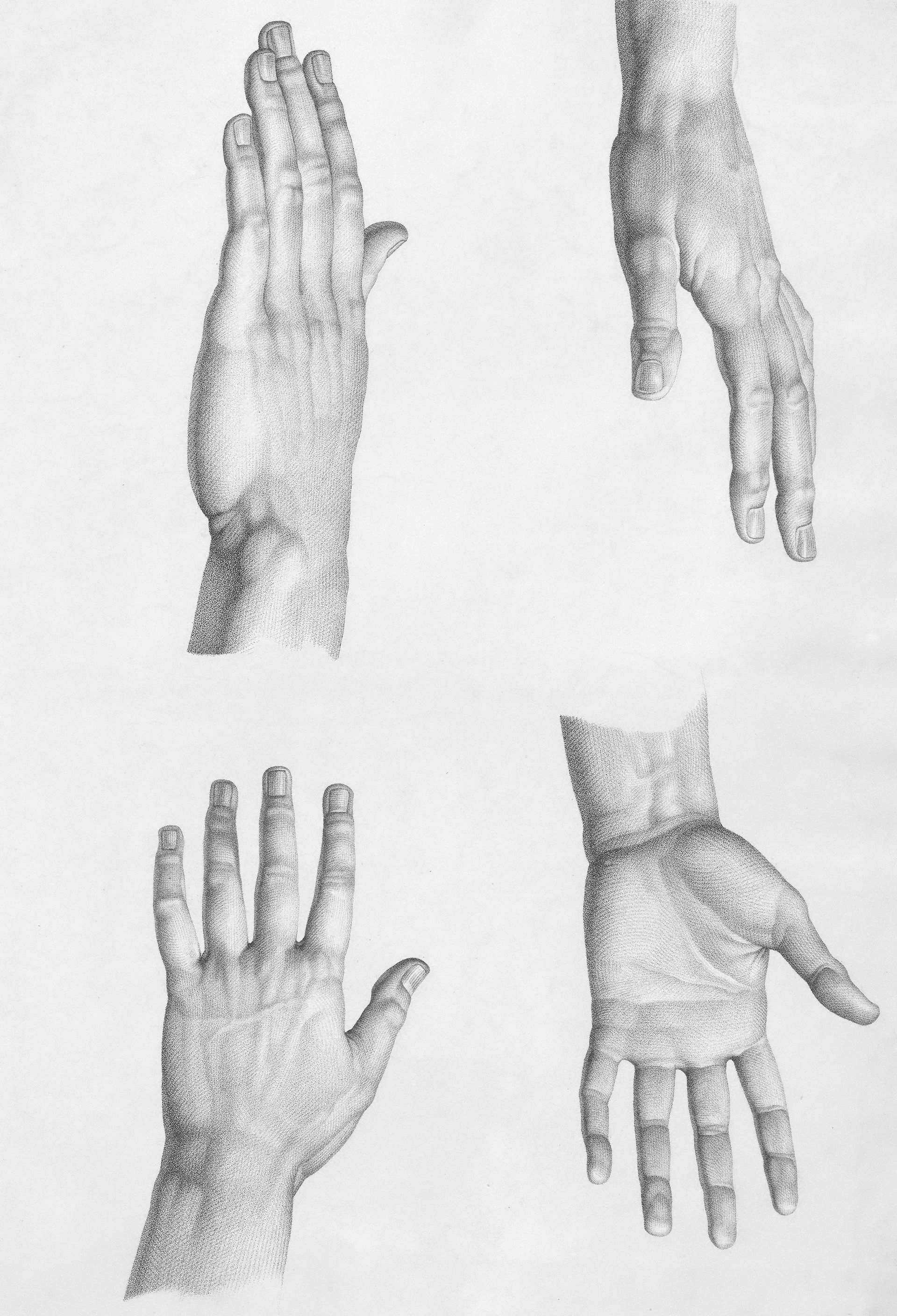 Four detailed sketches of human hands in various poses