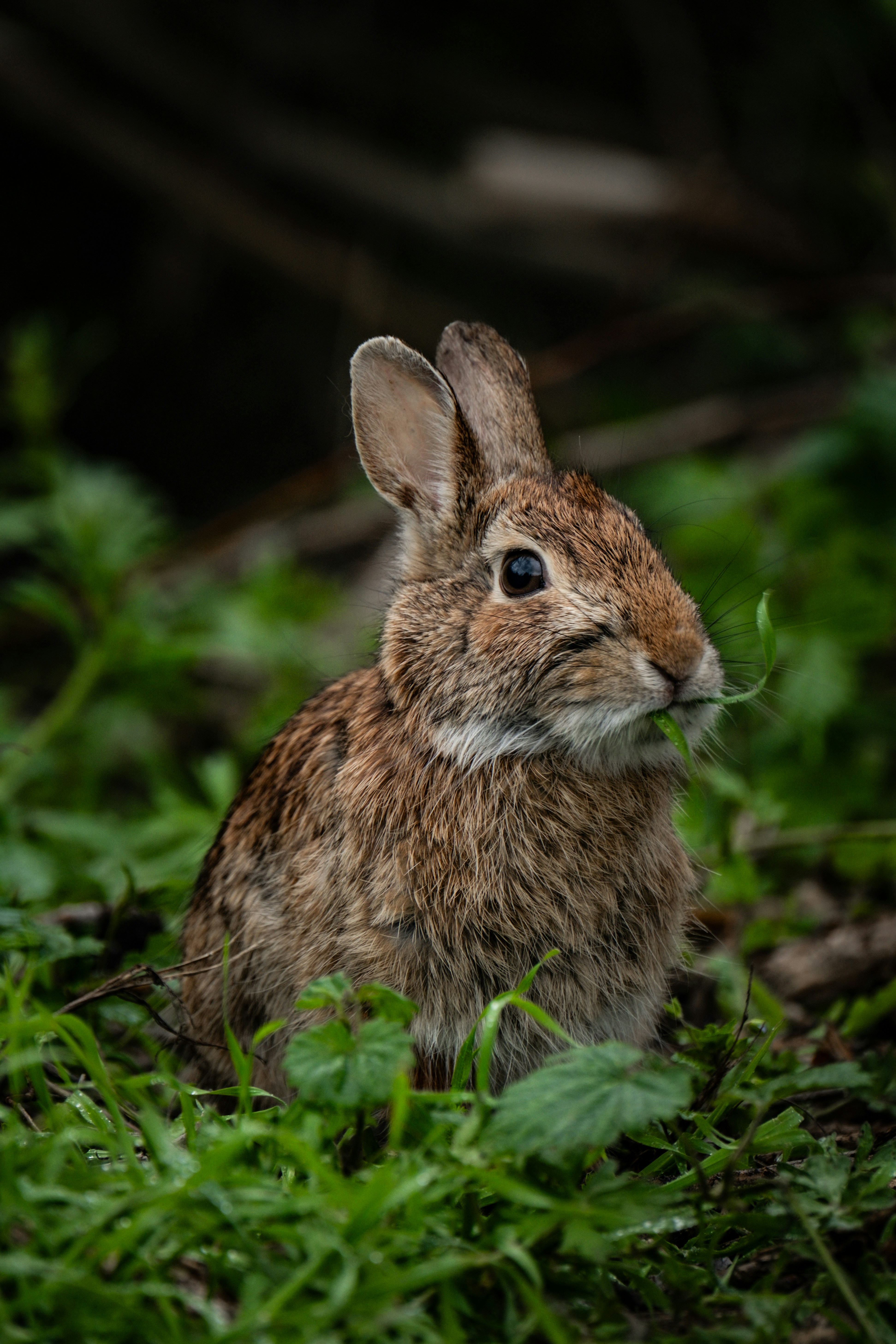 Photo by francesco_ungaro