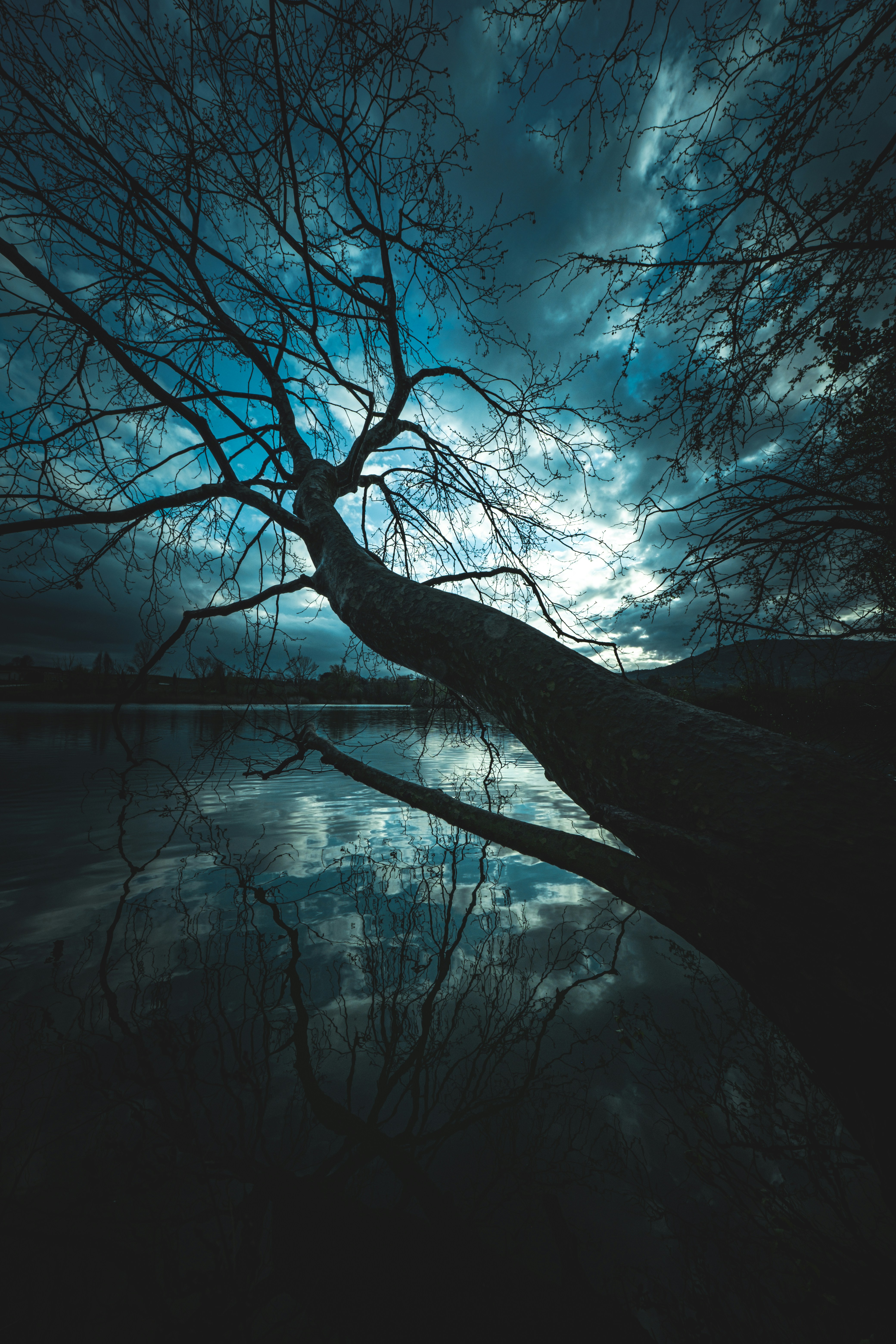 Photo by francesco_ungaro