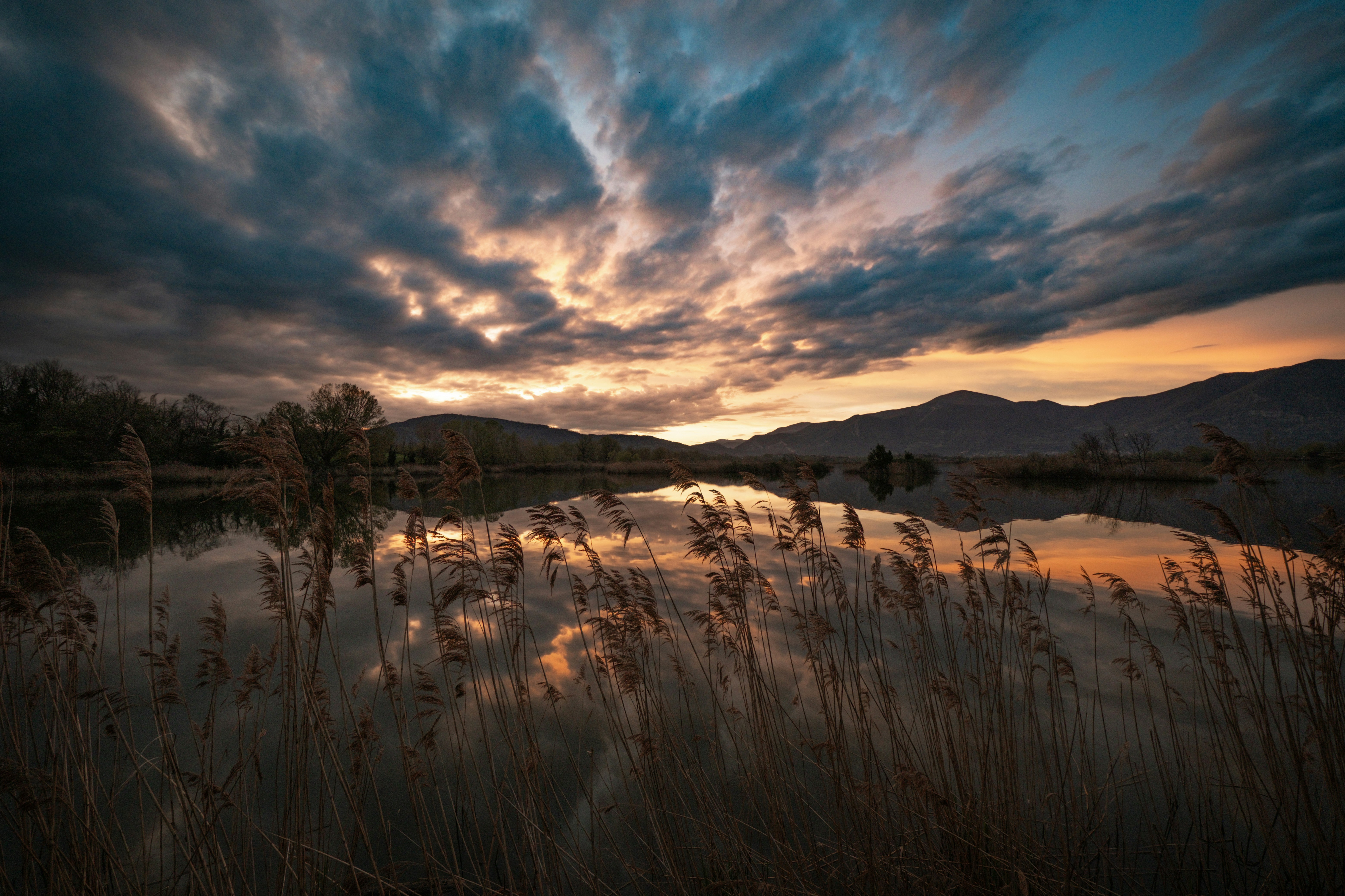 Photo by francesco_ungaro