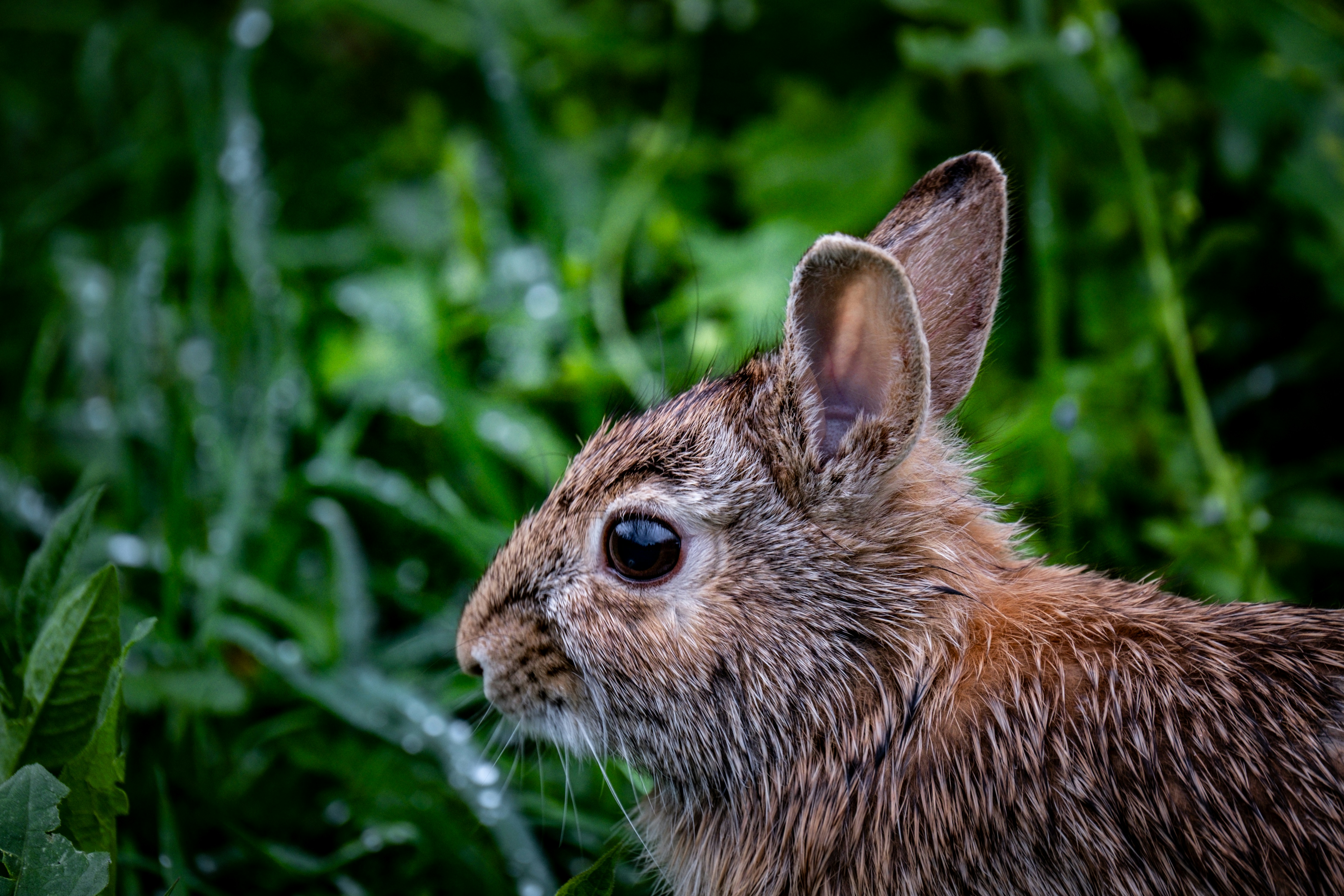 Photo by francesco_ungaro