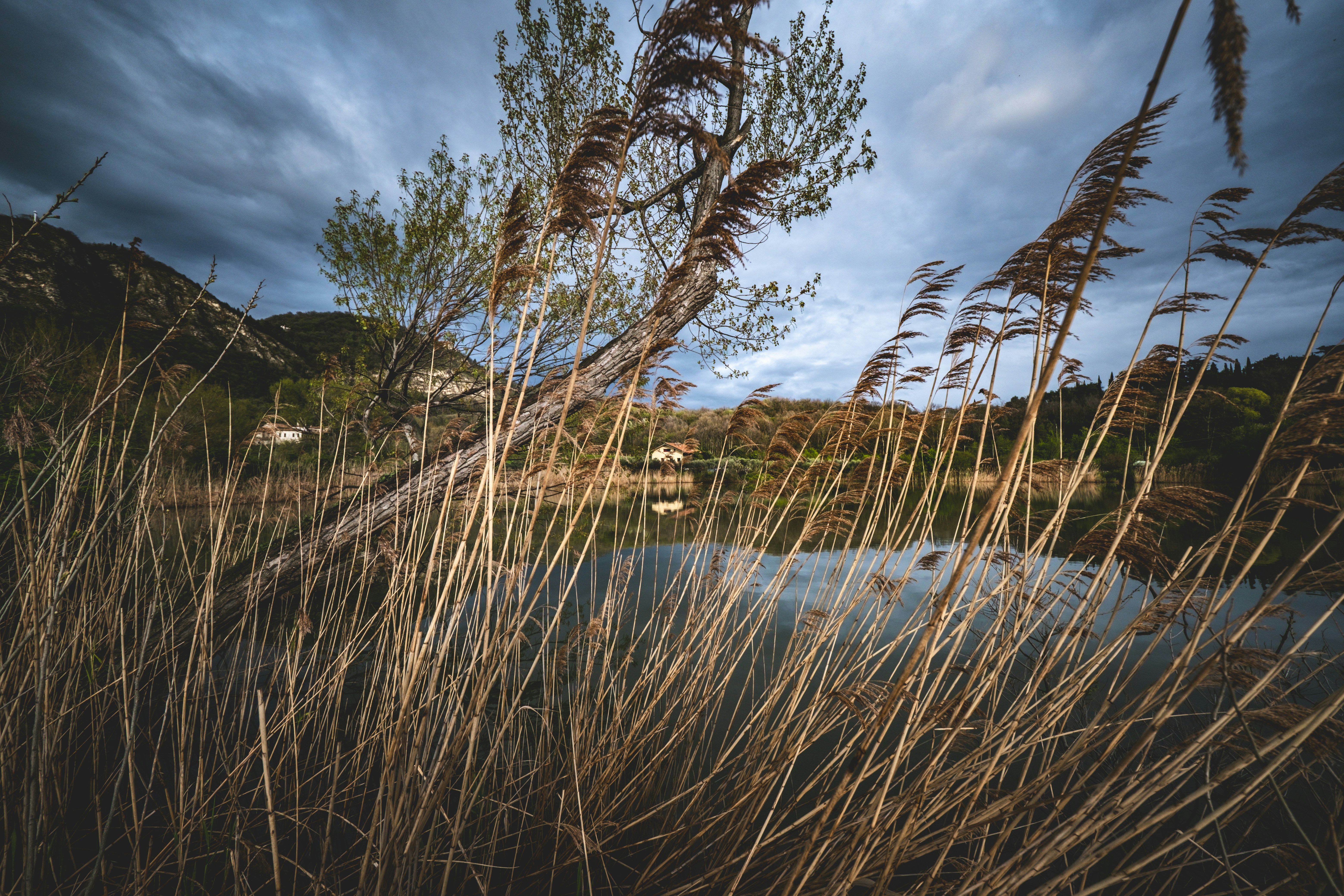 Photo by francesco_ungaro