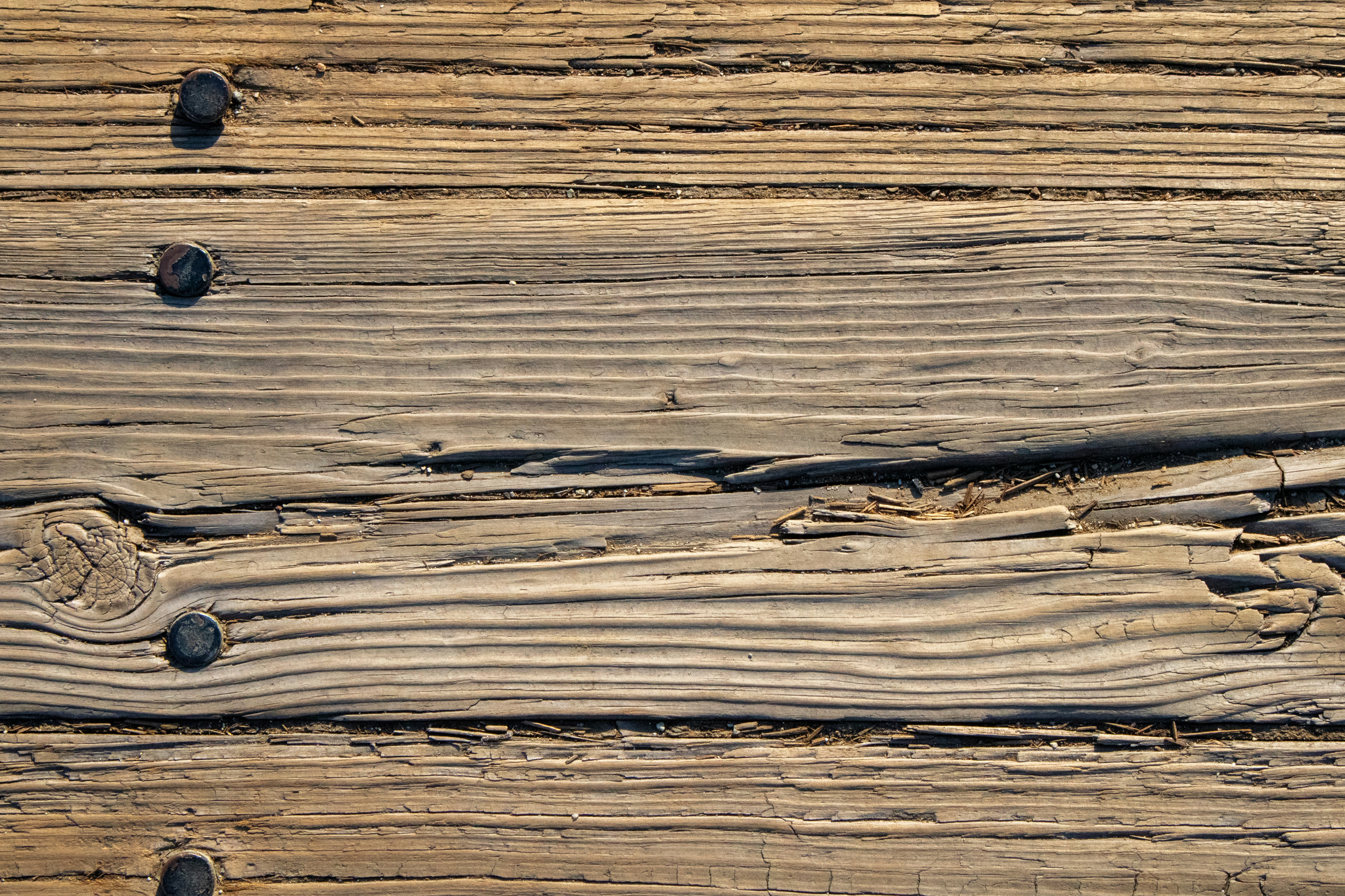 Photo by zoshuacolah