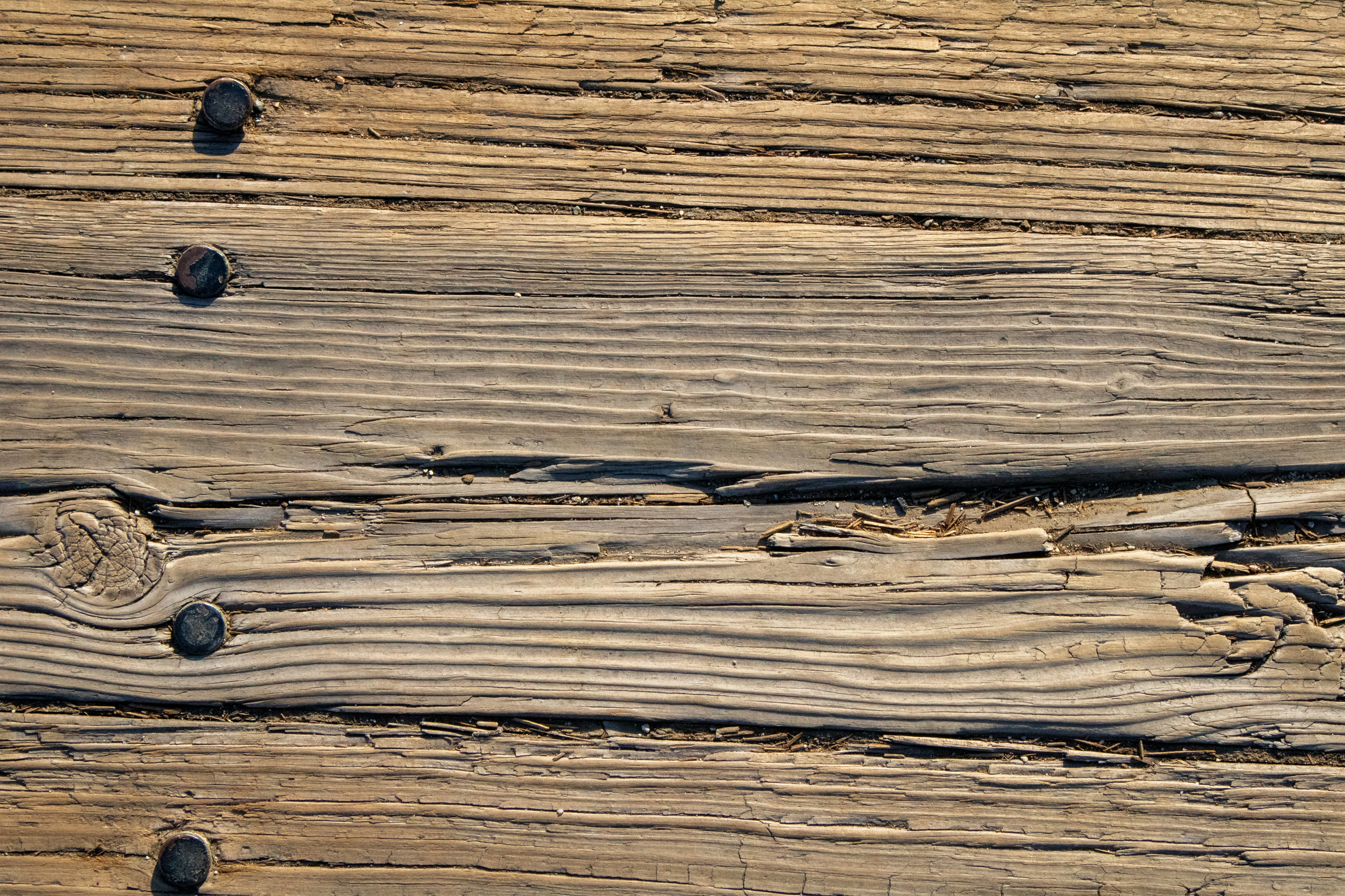 Picking the Perfect Wood: The Foundation of Success (image credits: unsplash)