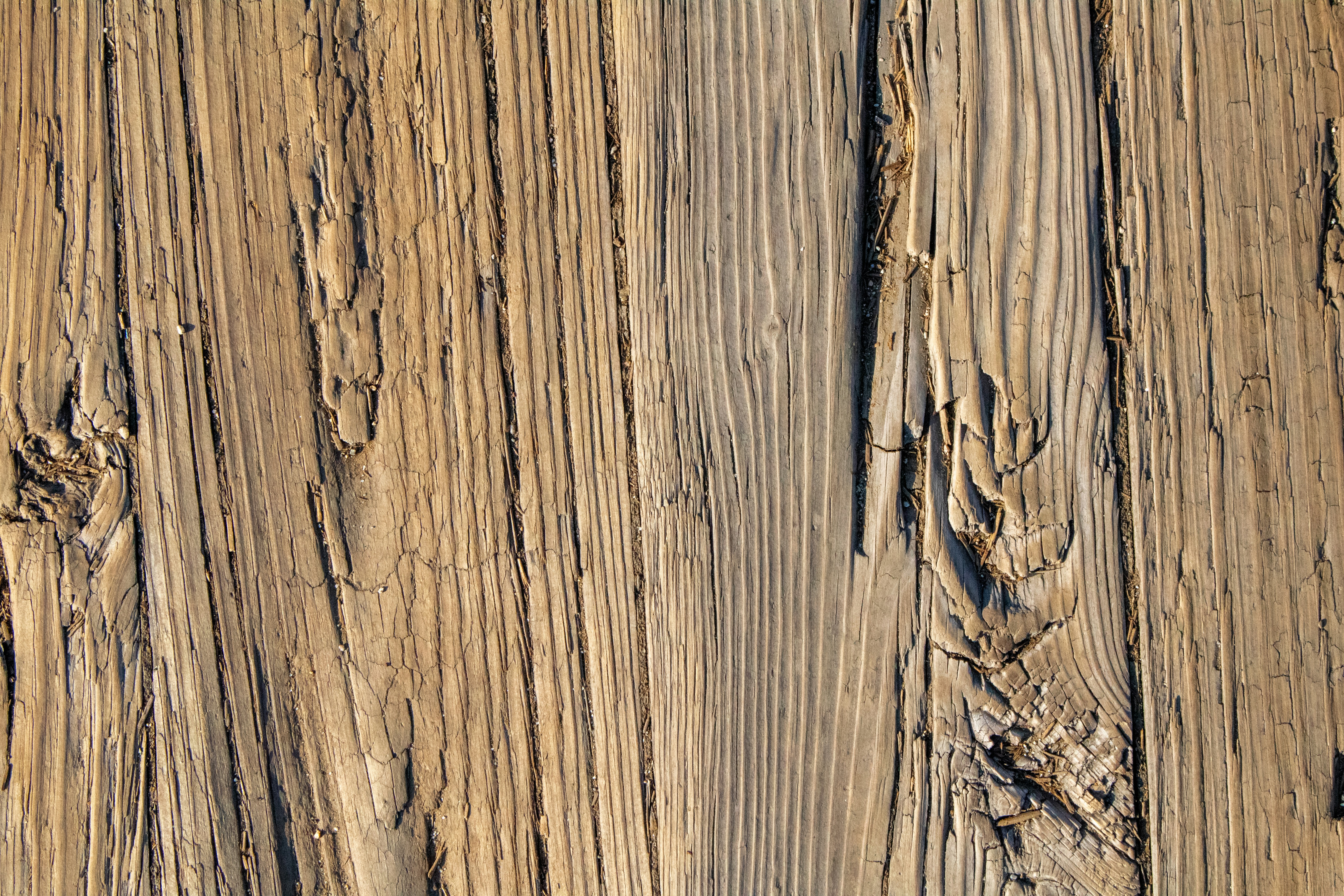 Photo by zoshuacolah