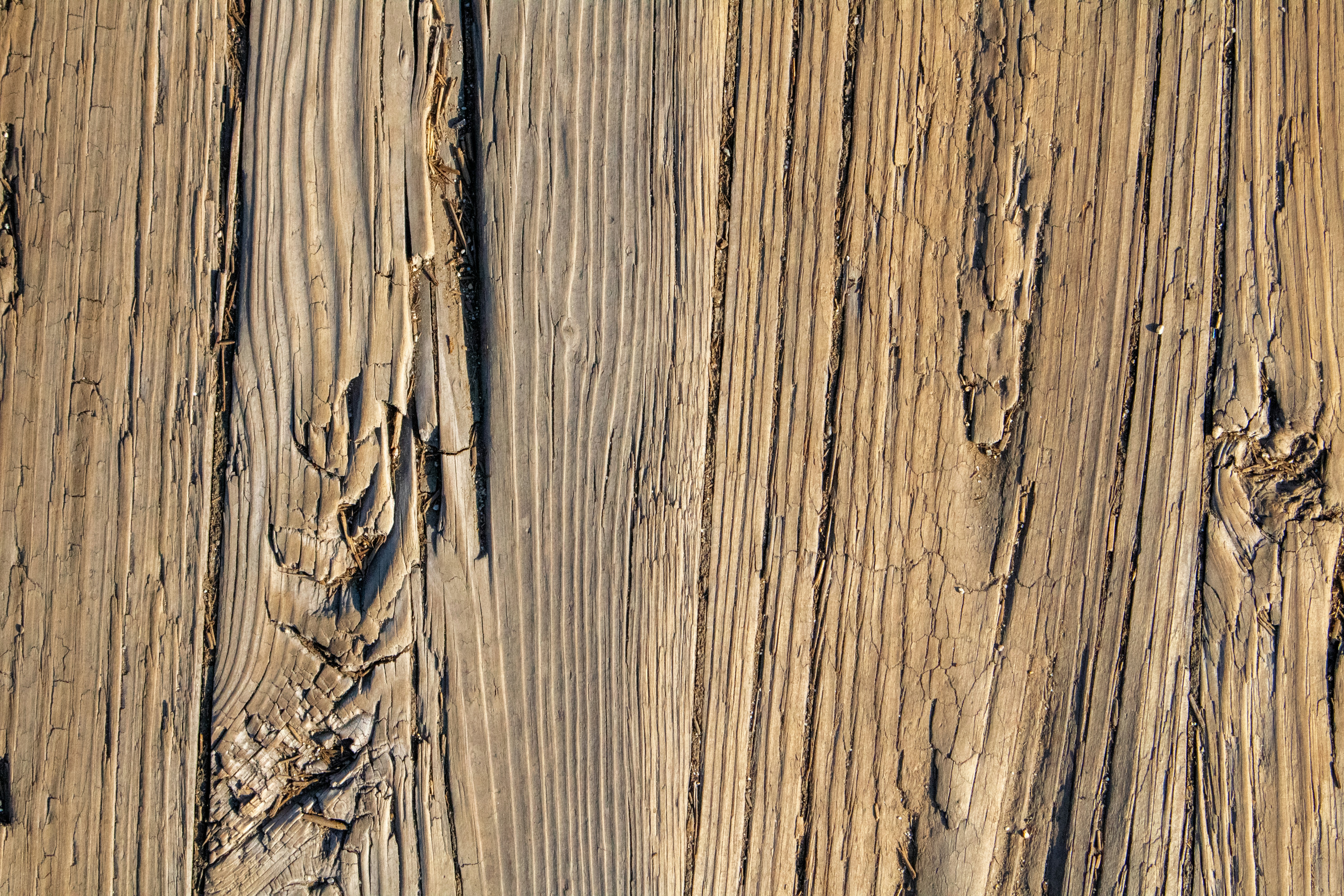 Photo by zoshuacolah