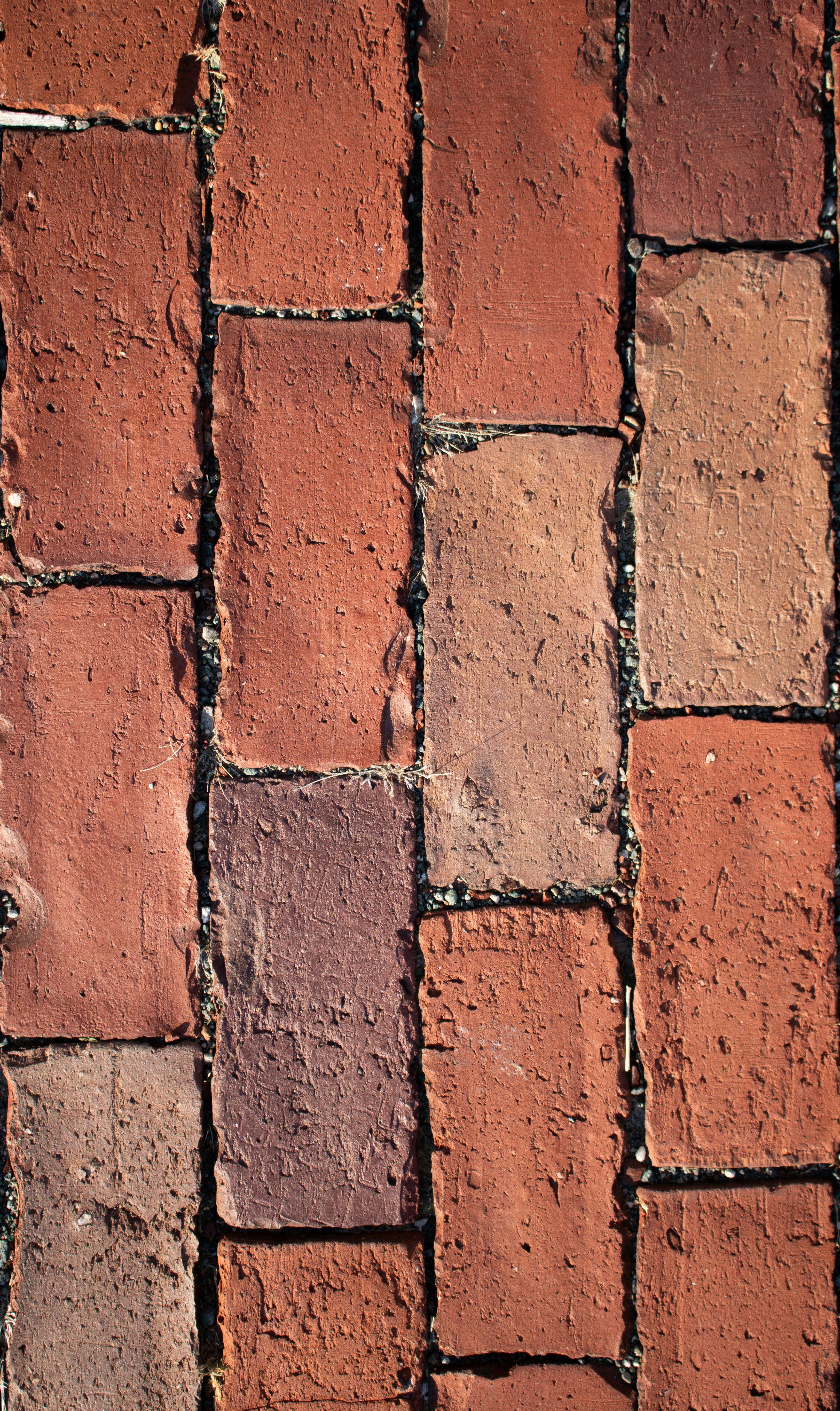 Photo by zoshuacolah