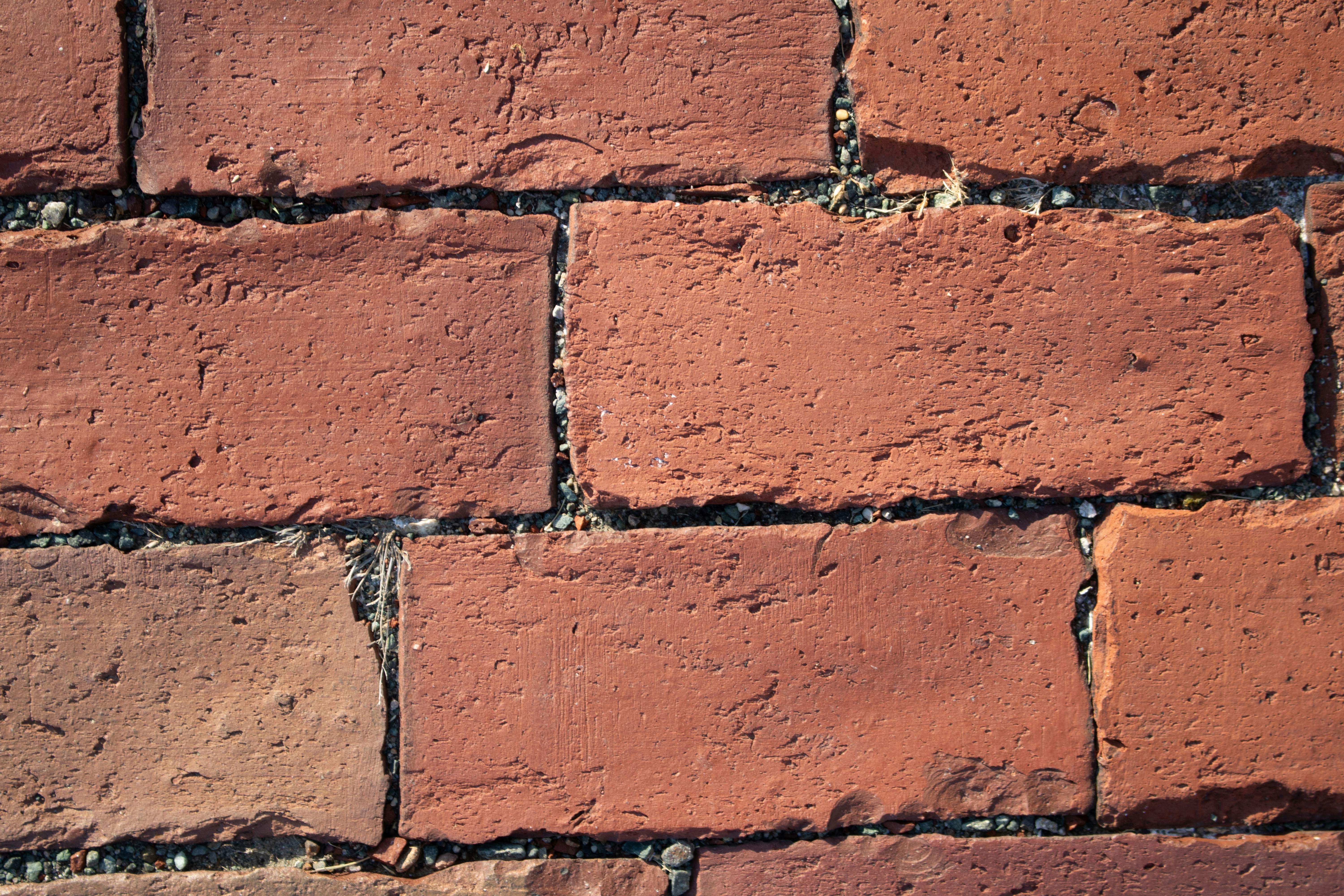 Photo by zoshuacolah