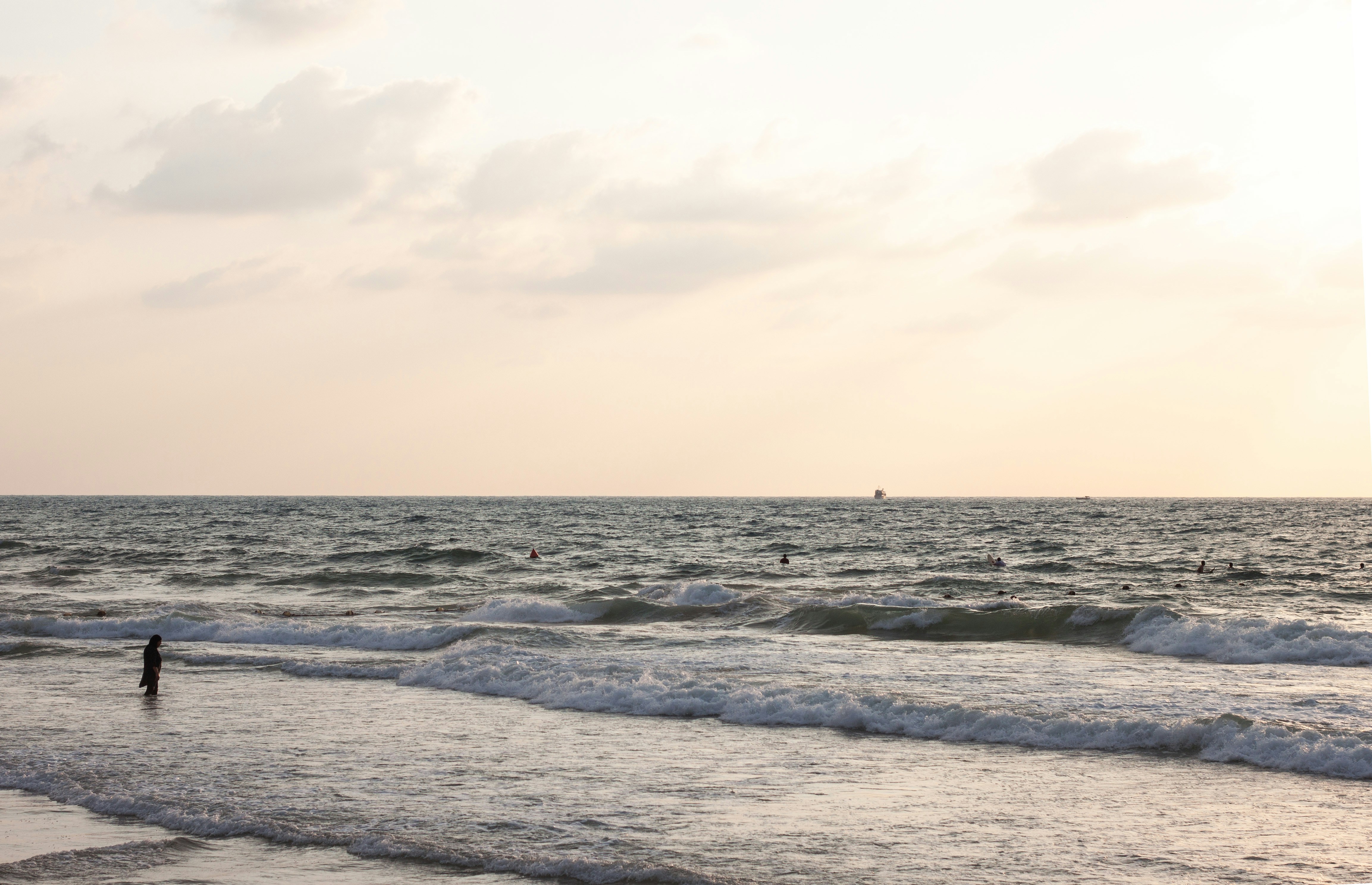 Photo by miguelbaixauli