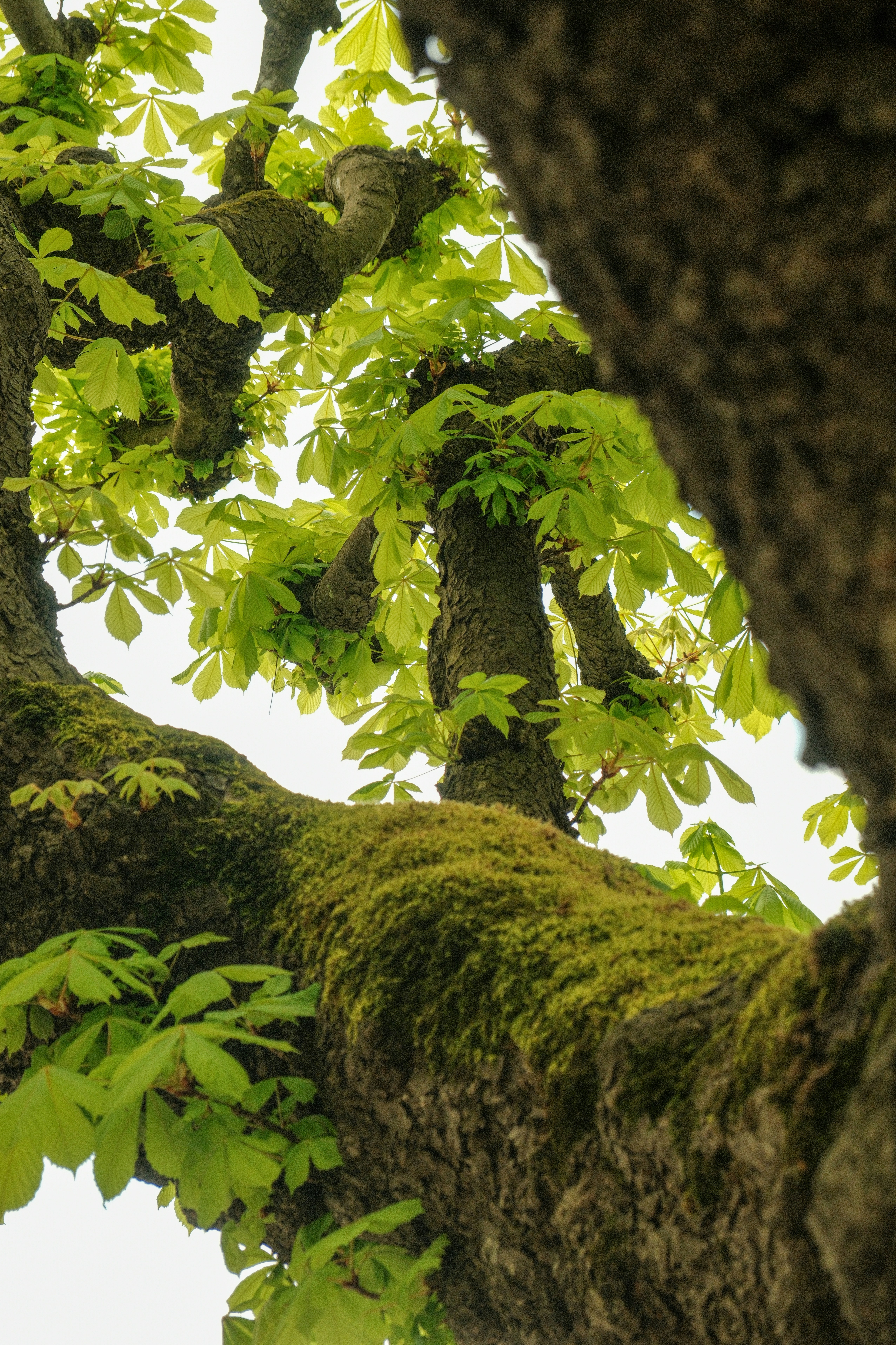 Photo by alexispresa