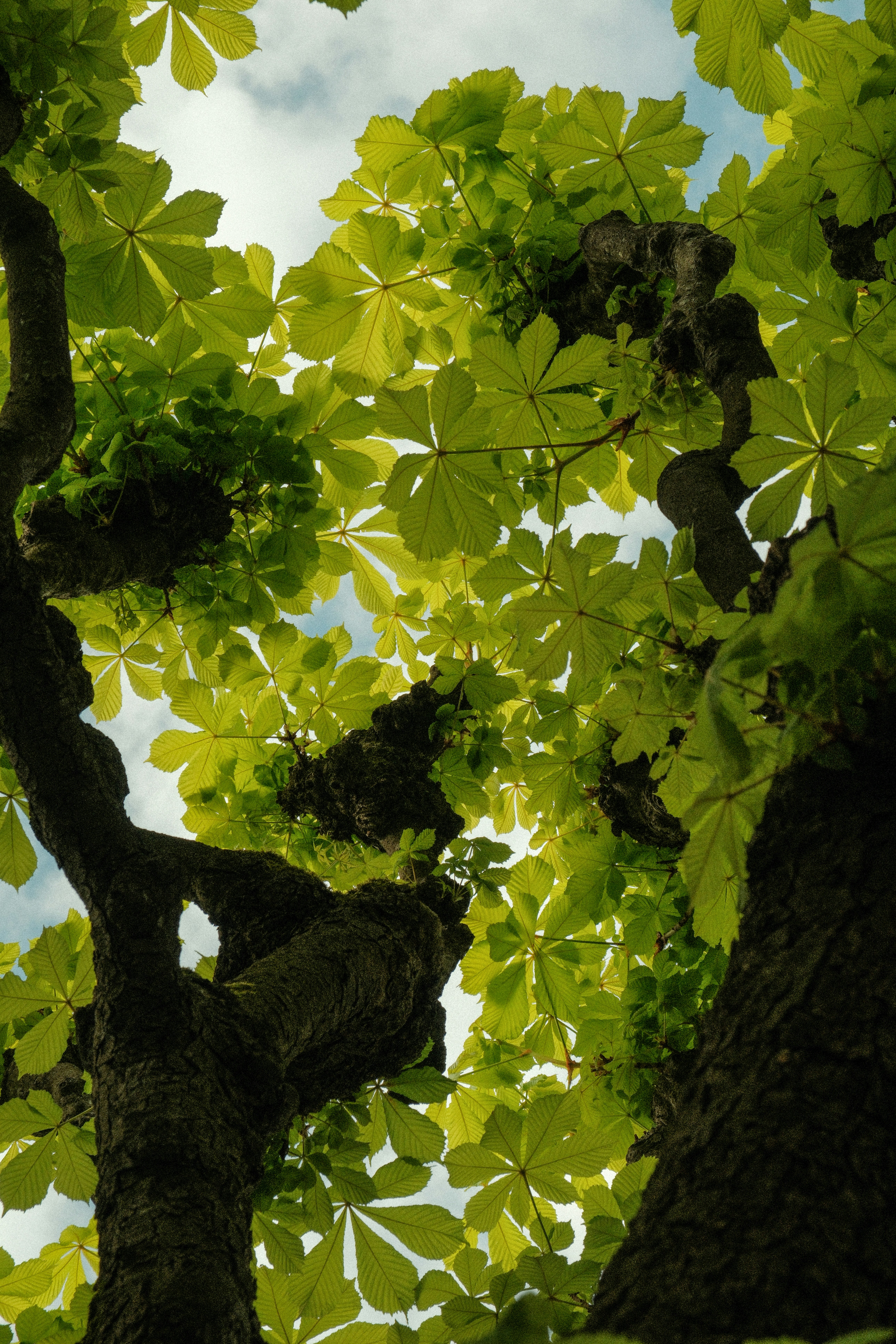 Photo by alexispresa