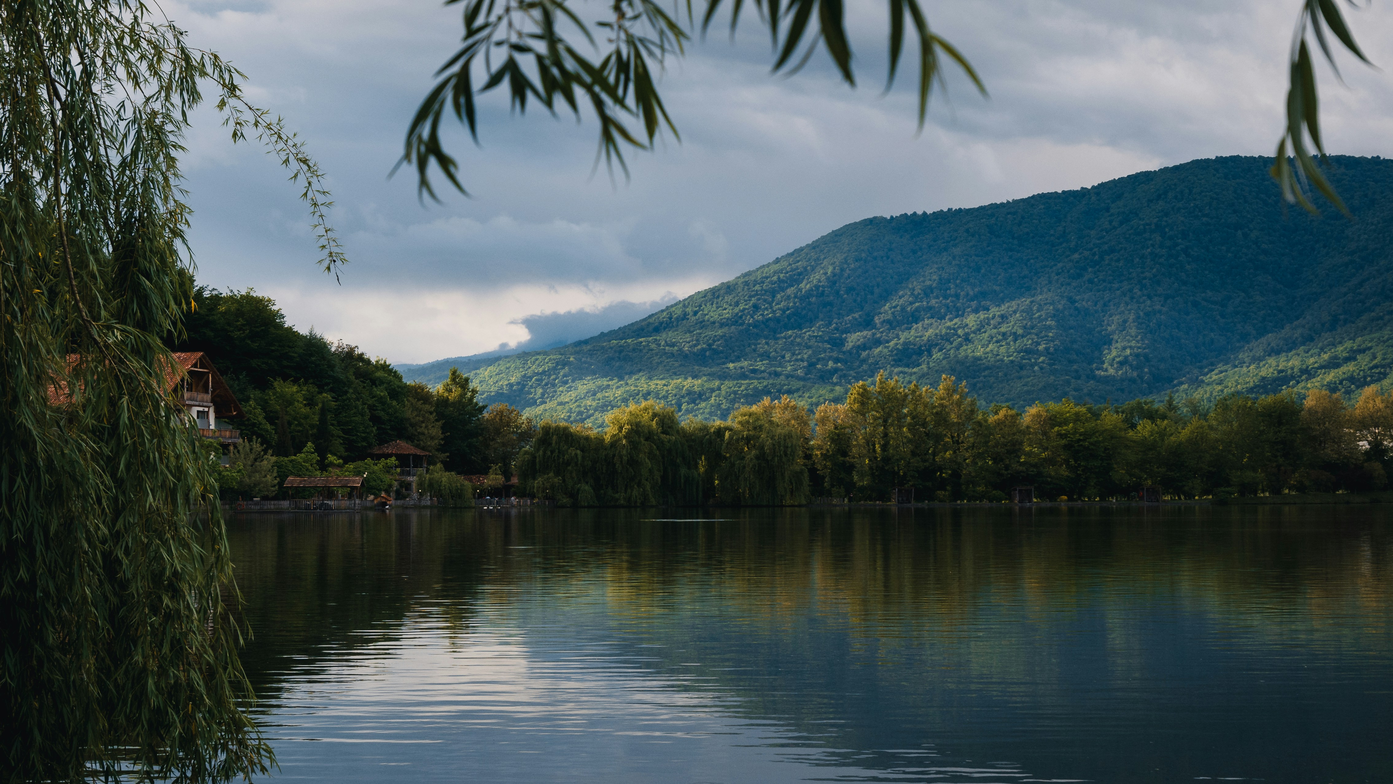 lake forest wallpaper, wallpaper, Camping Near Standing Water: A Complete Guide 3