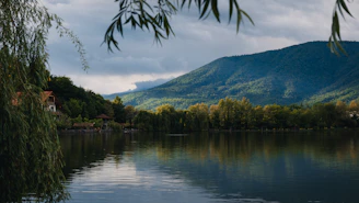 a body of water surrounded by trees and mountains