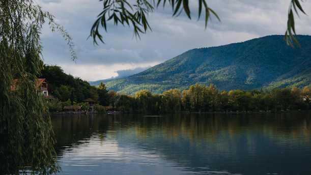 a body of water surrounded by trees and mountains