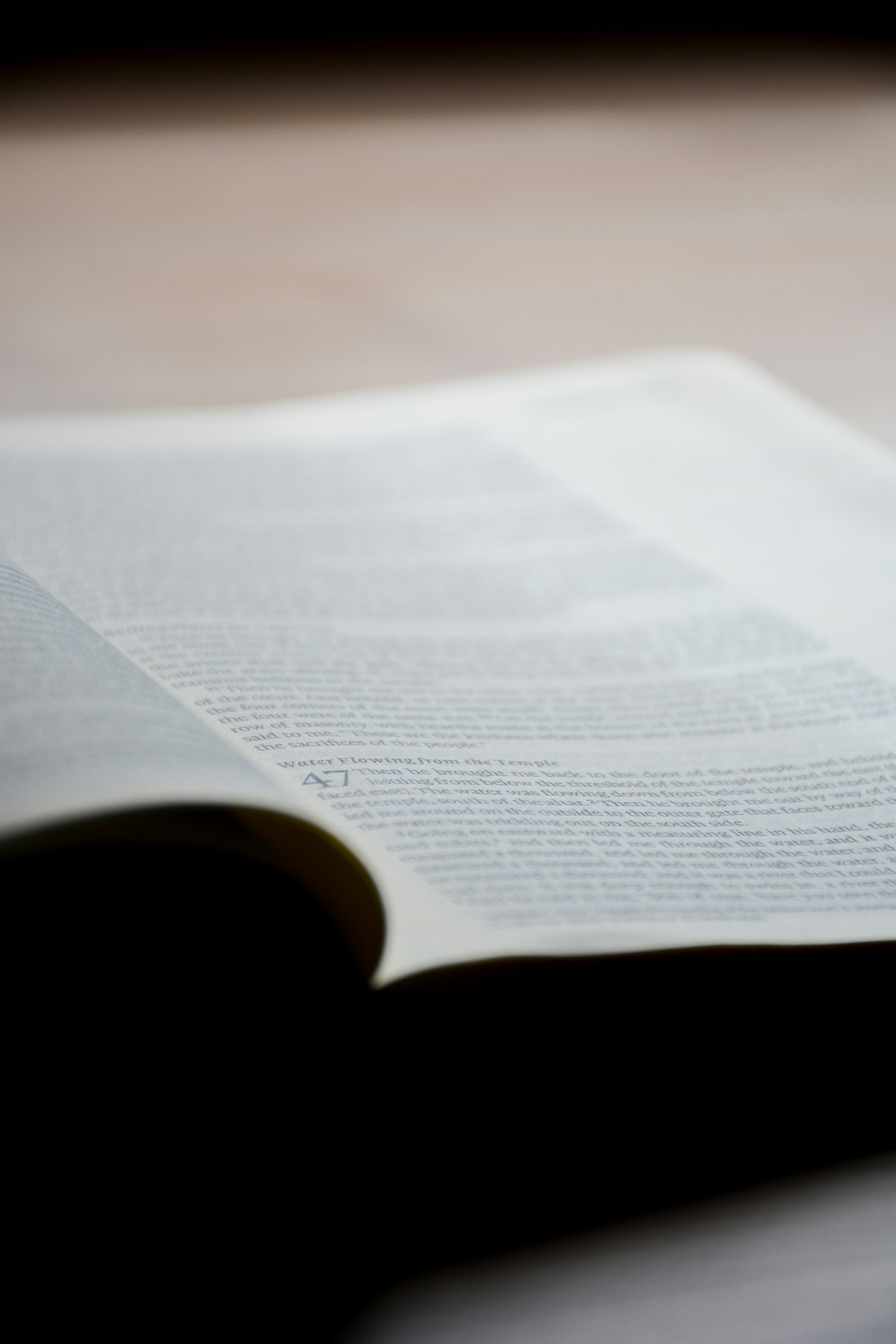 Cambios en el processo de compra venta