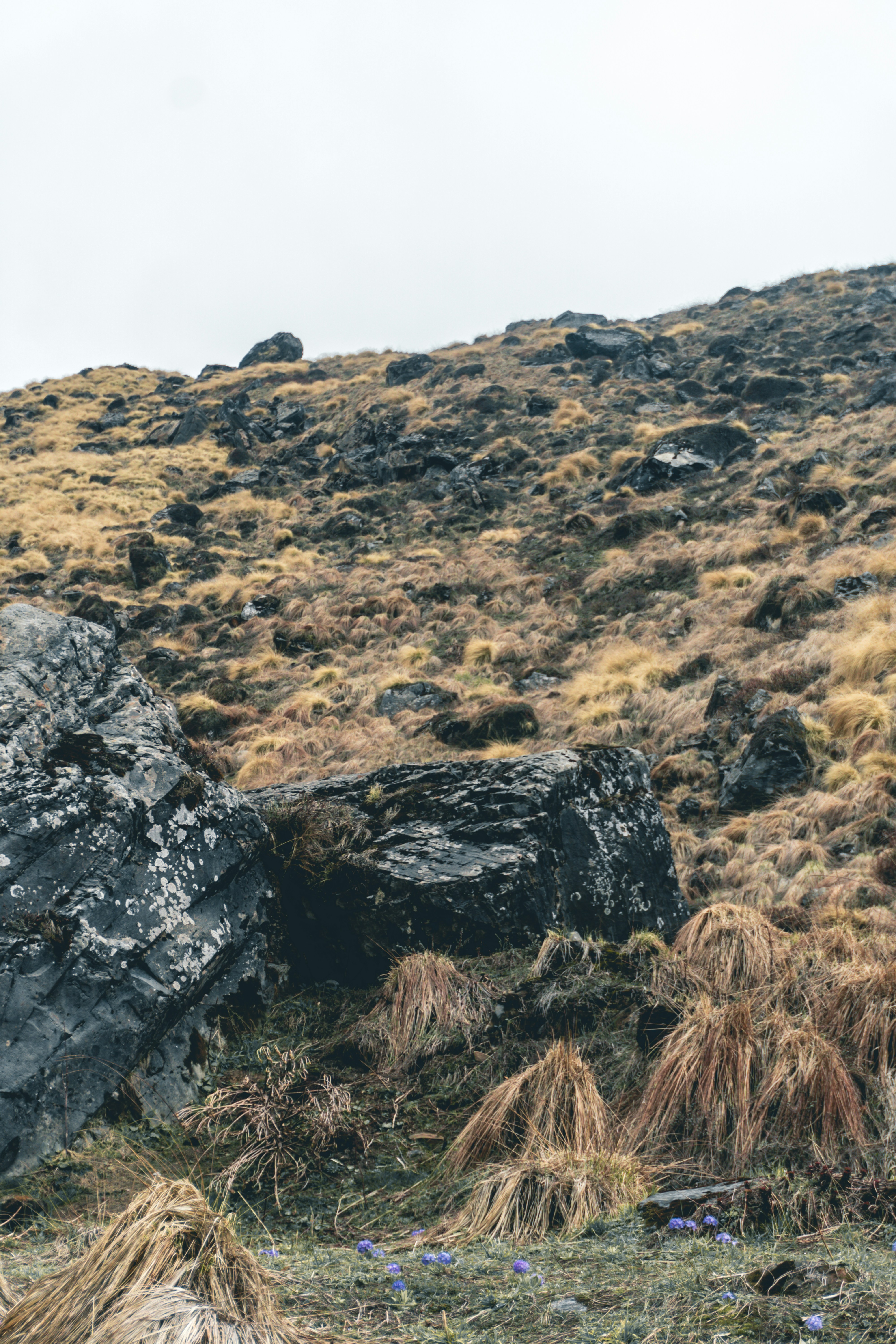 Photo by abdulkayum97