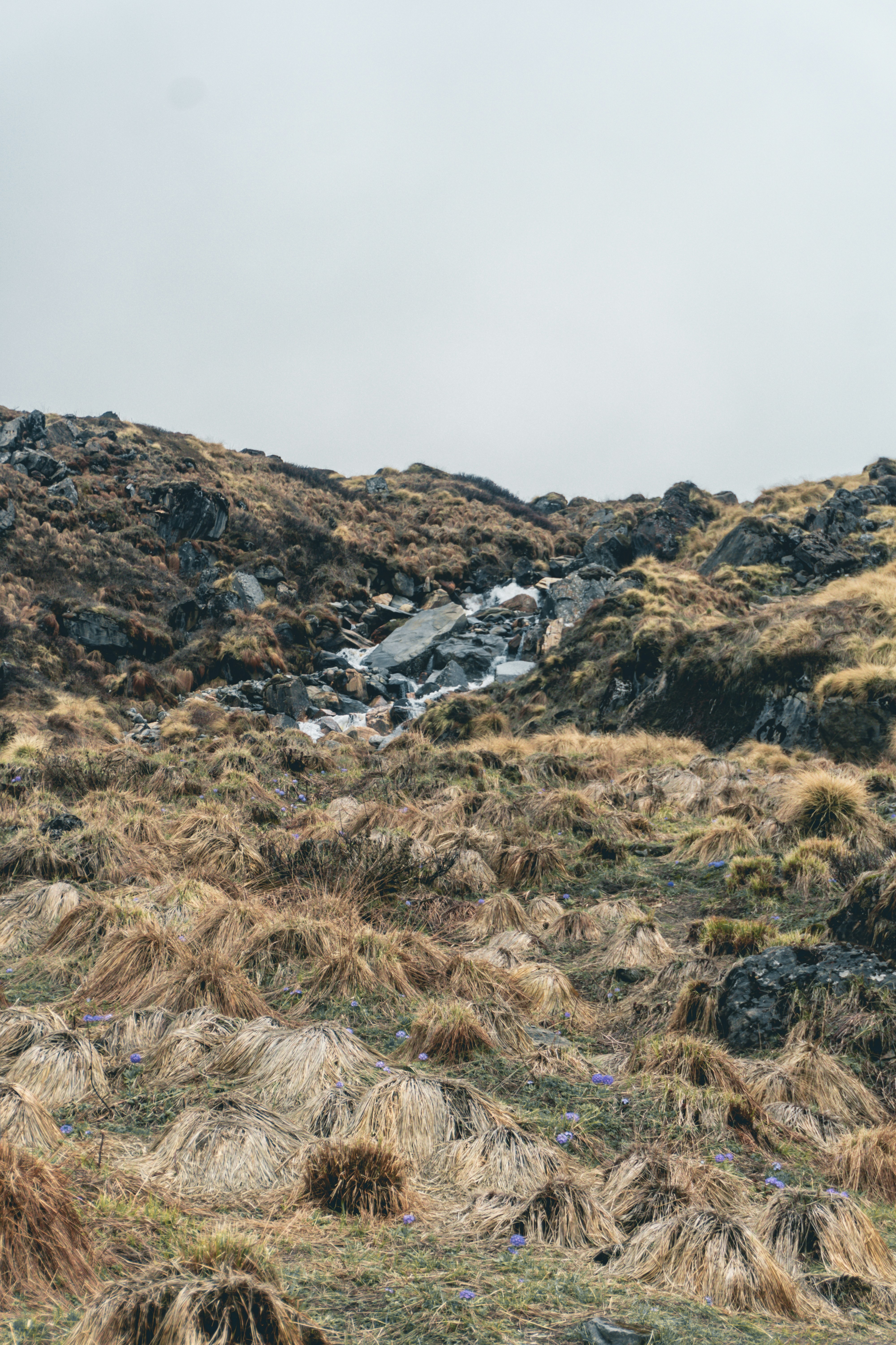 Photo by abdulkayum97