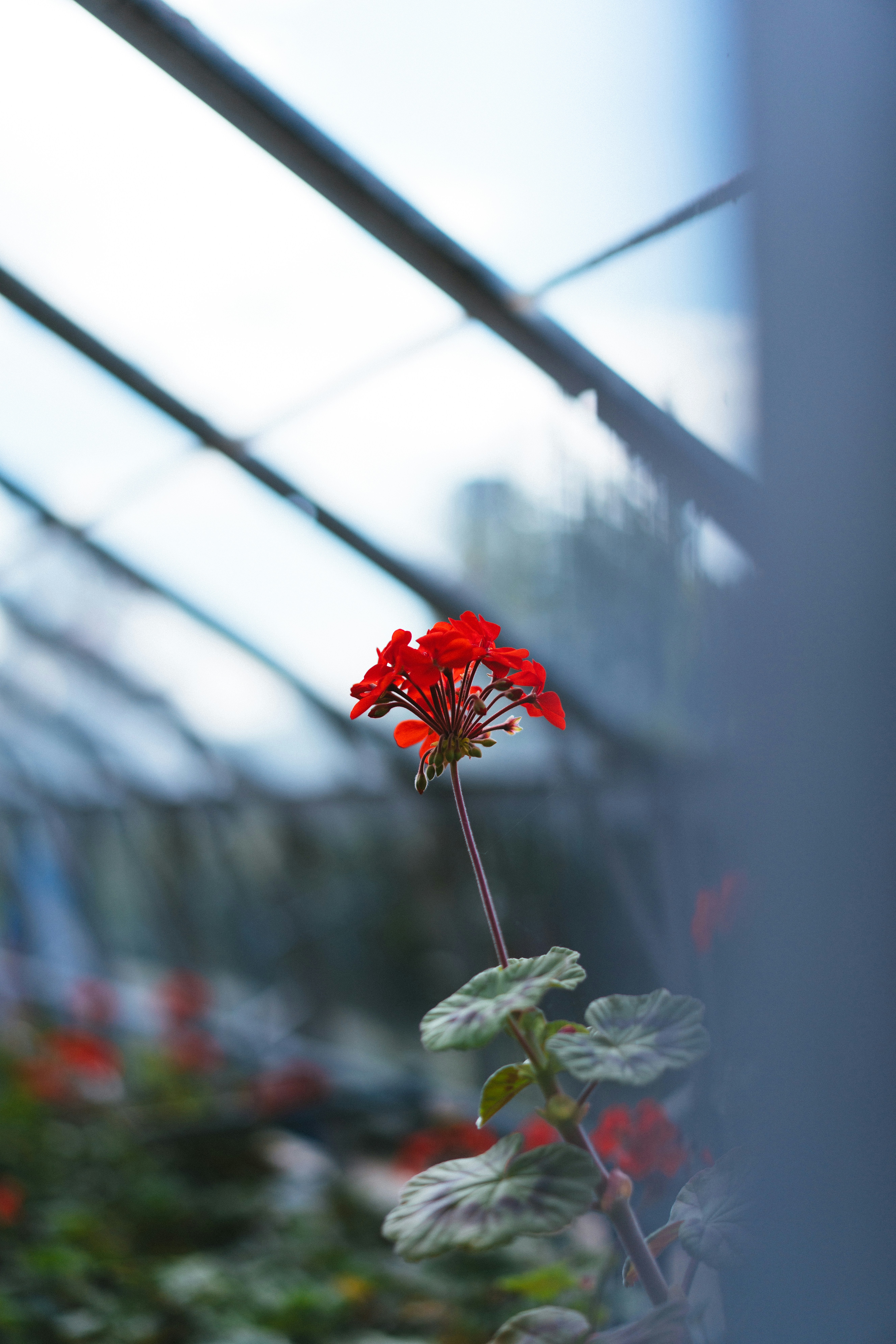 Photo by philhearing