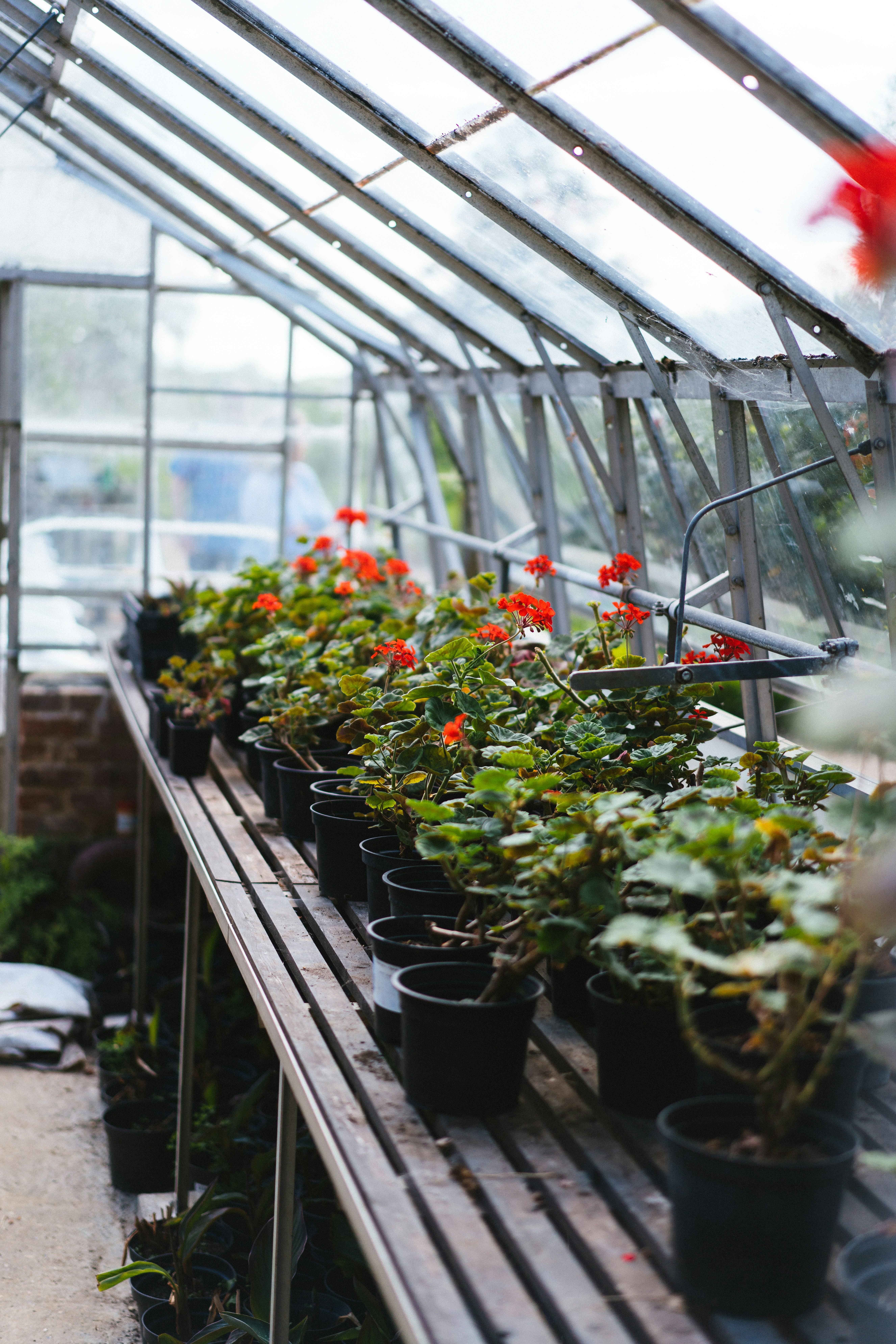 Photo by philhearing