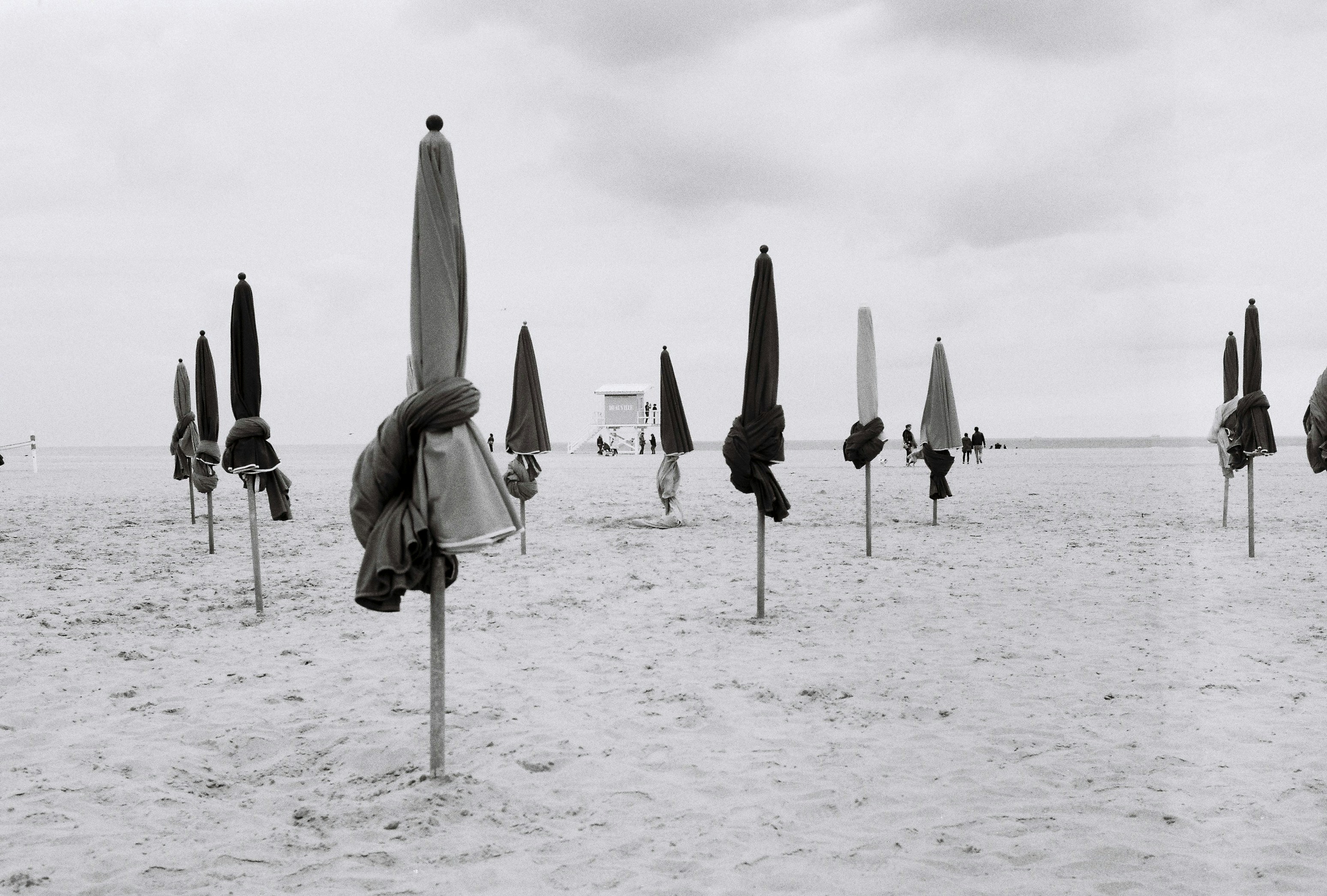 砂の中にいる傘の束