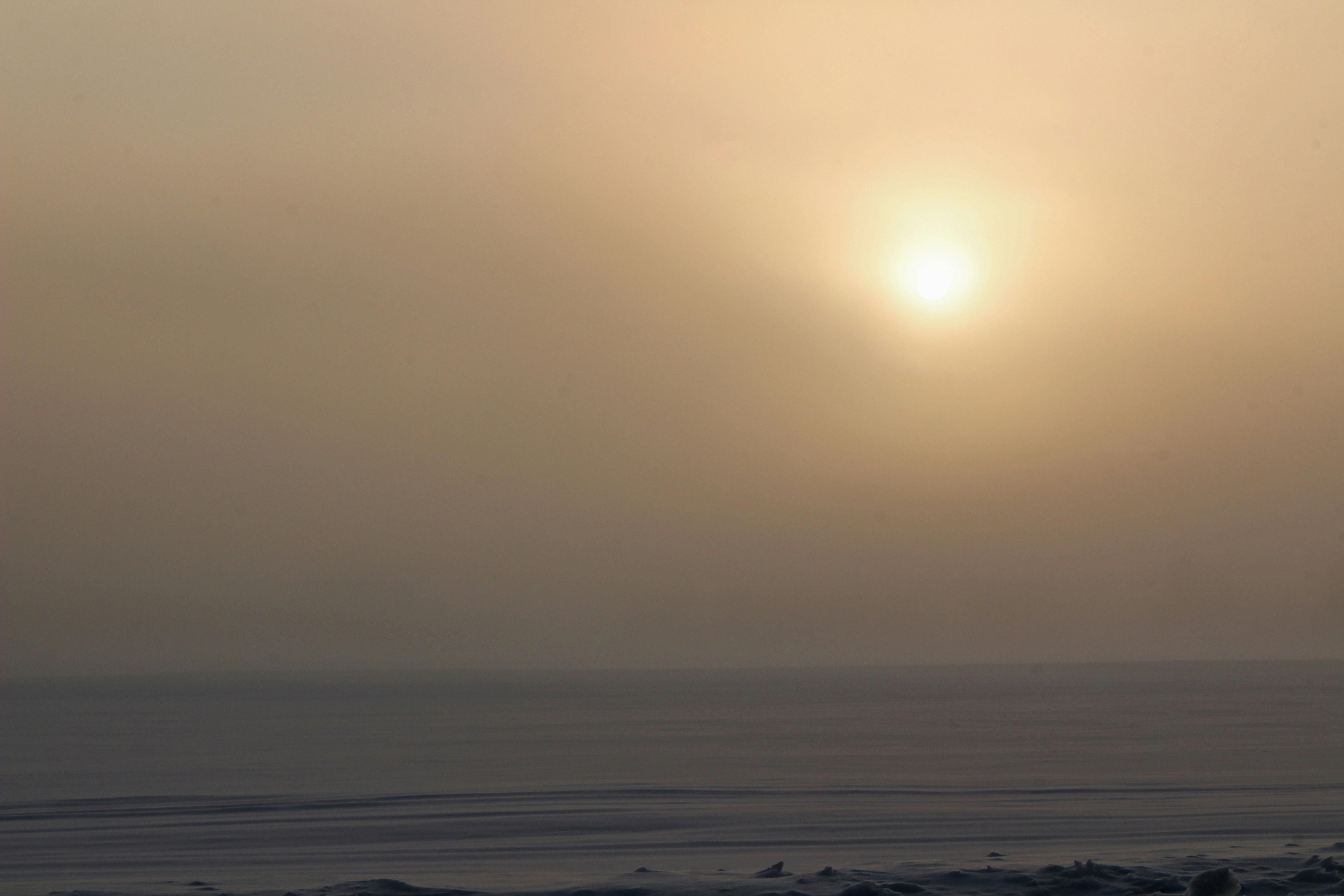 Photo by elijahaustin