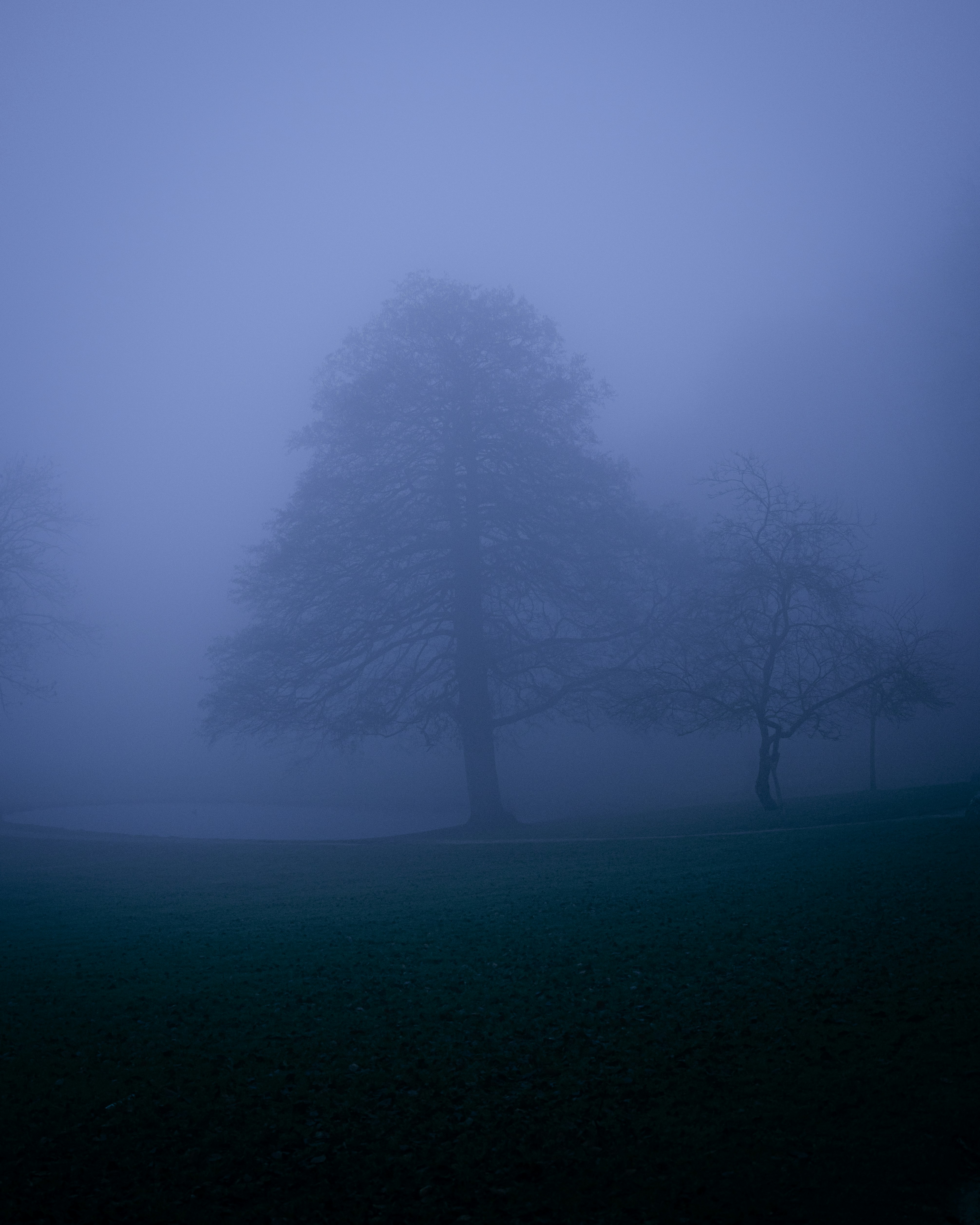 Photo by luca_severin