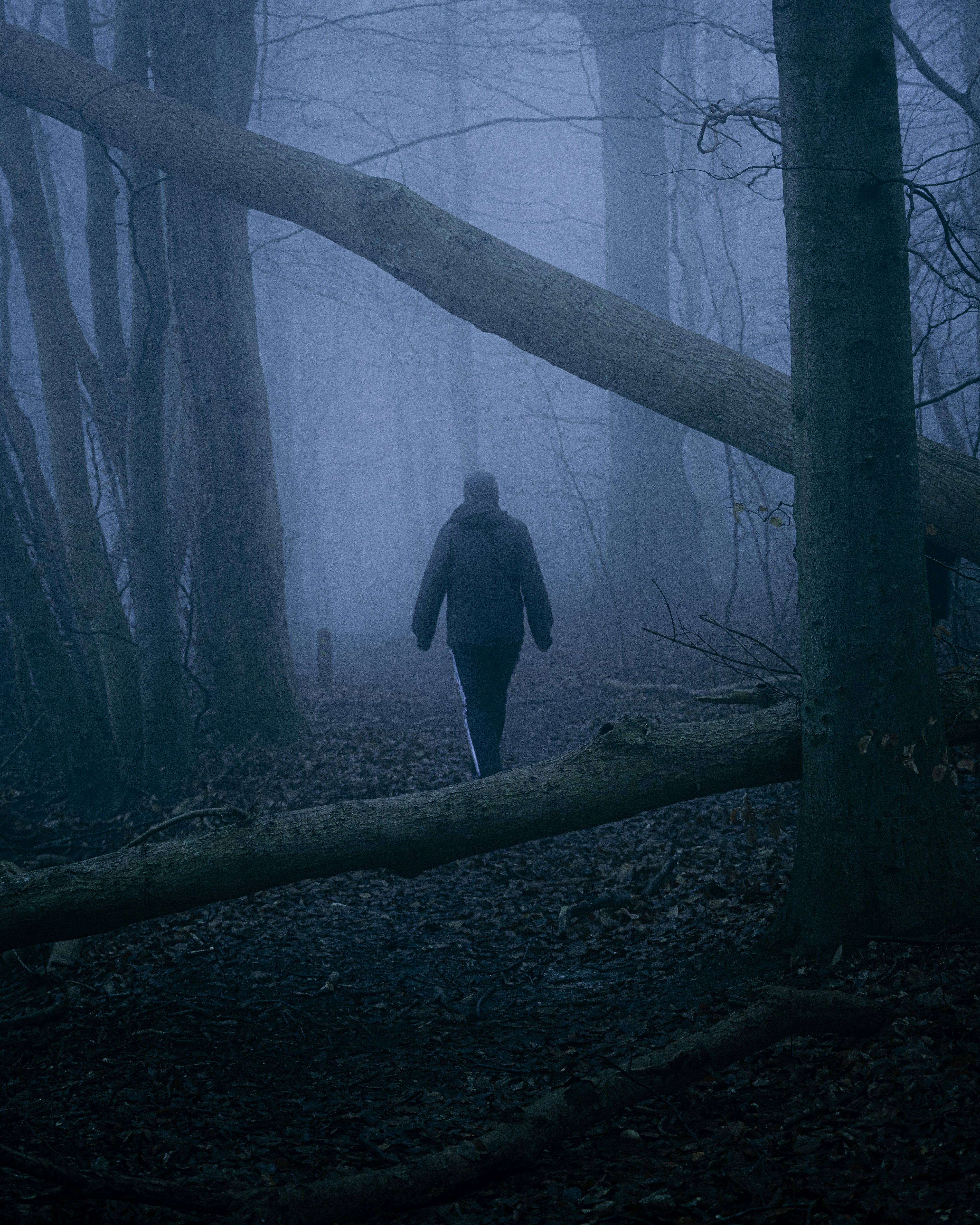 Photo by luca_severin