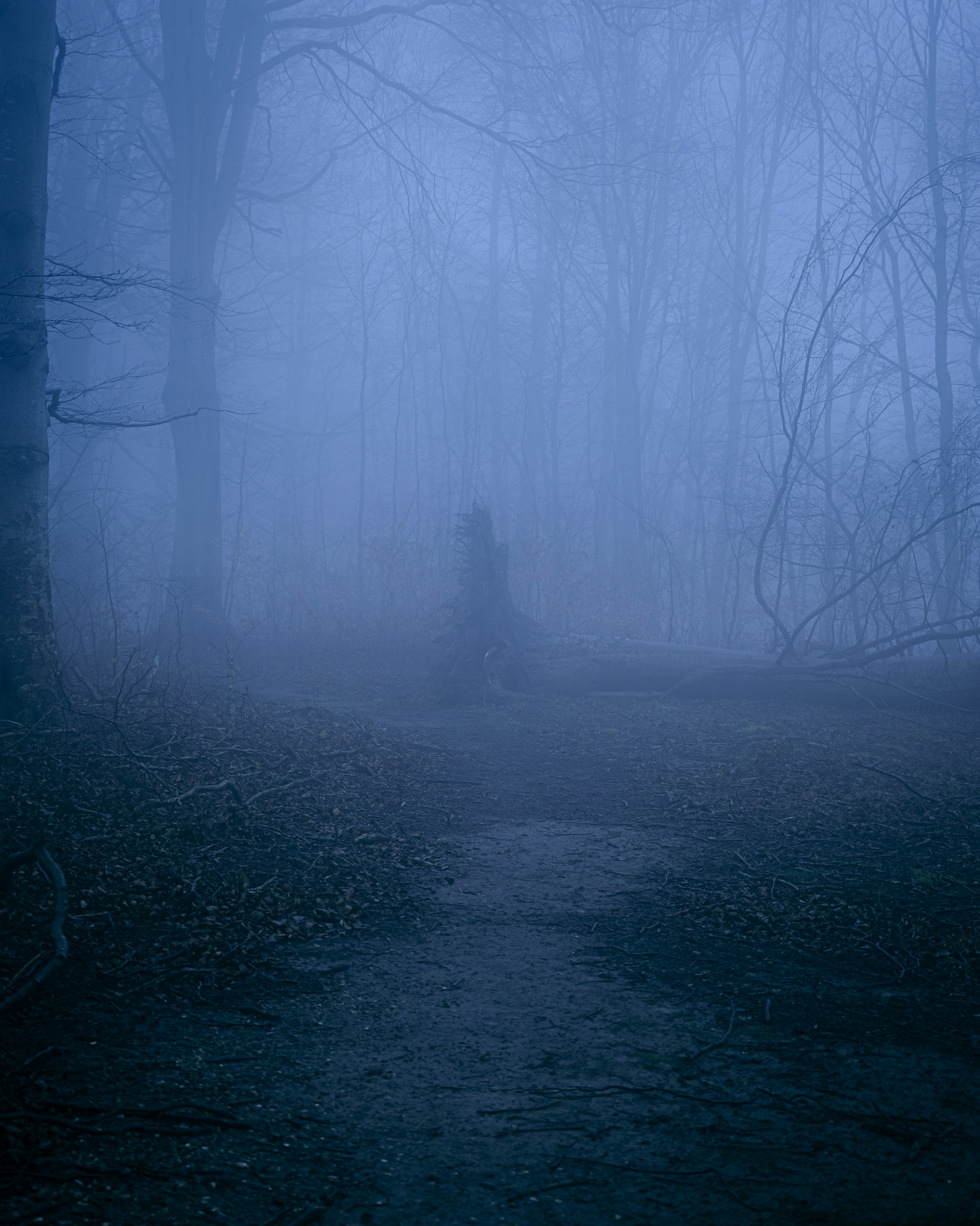 Photo by luca_severin