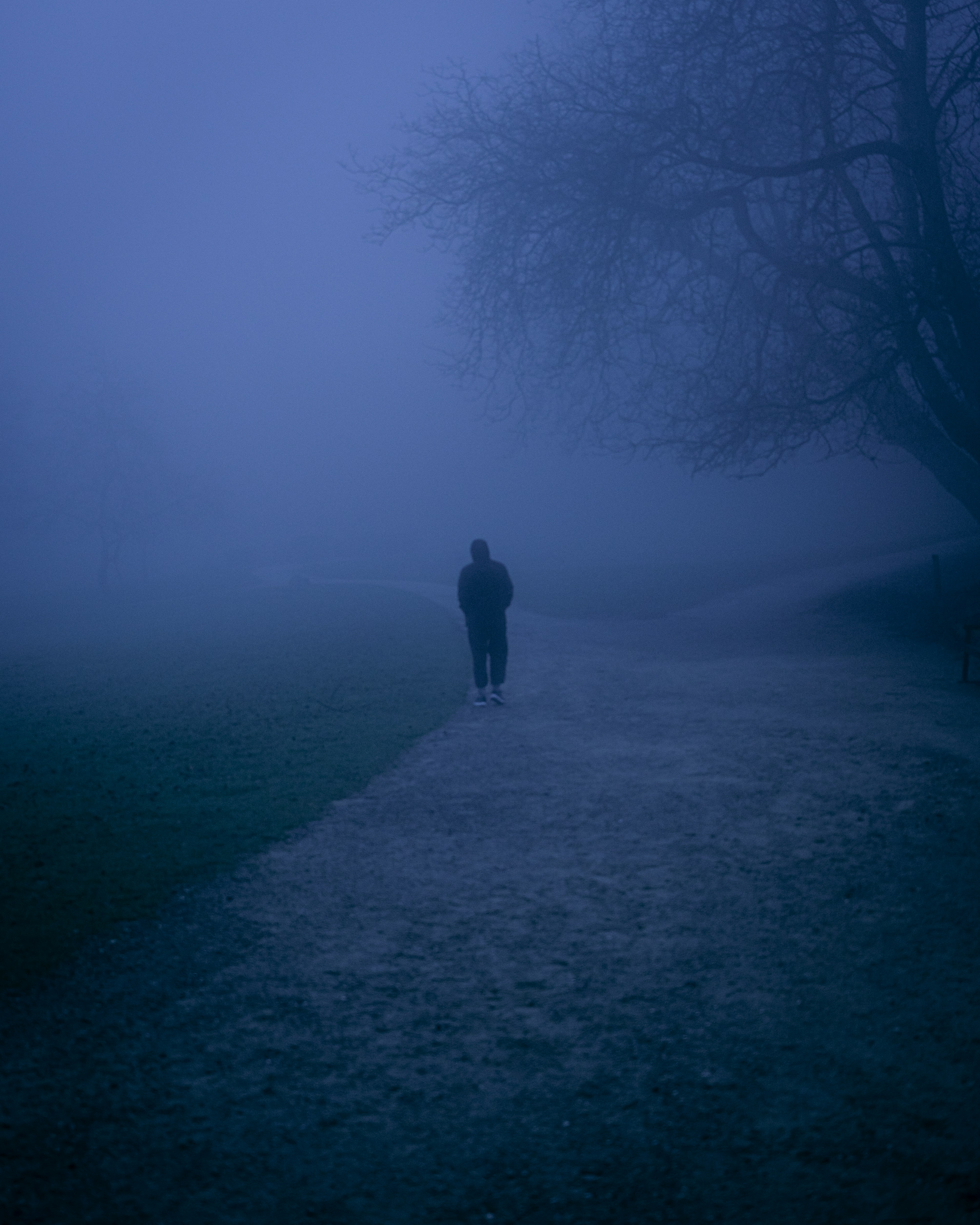 Photo by luca_severin