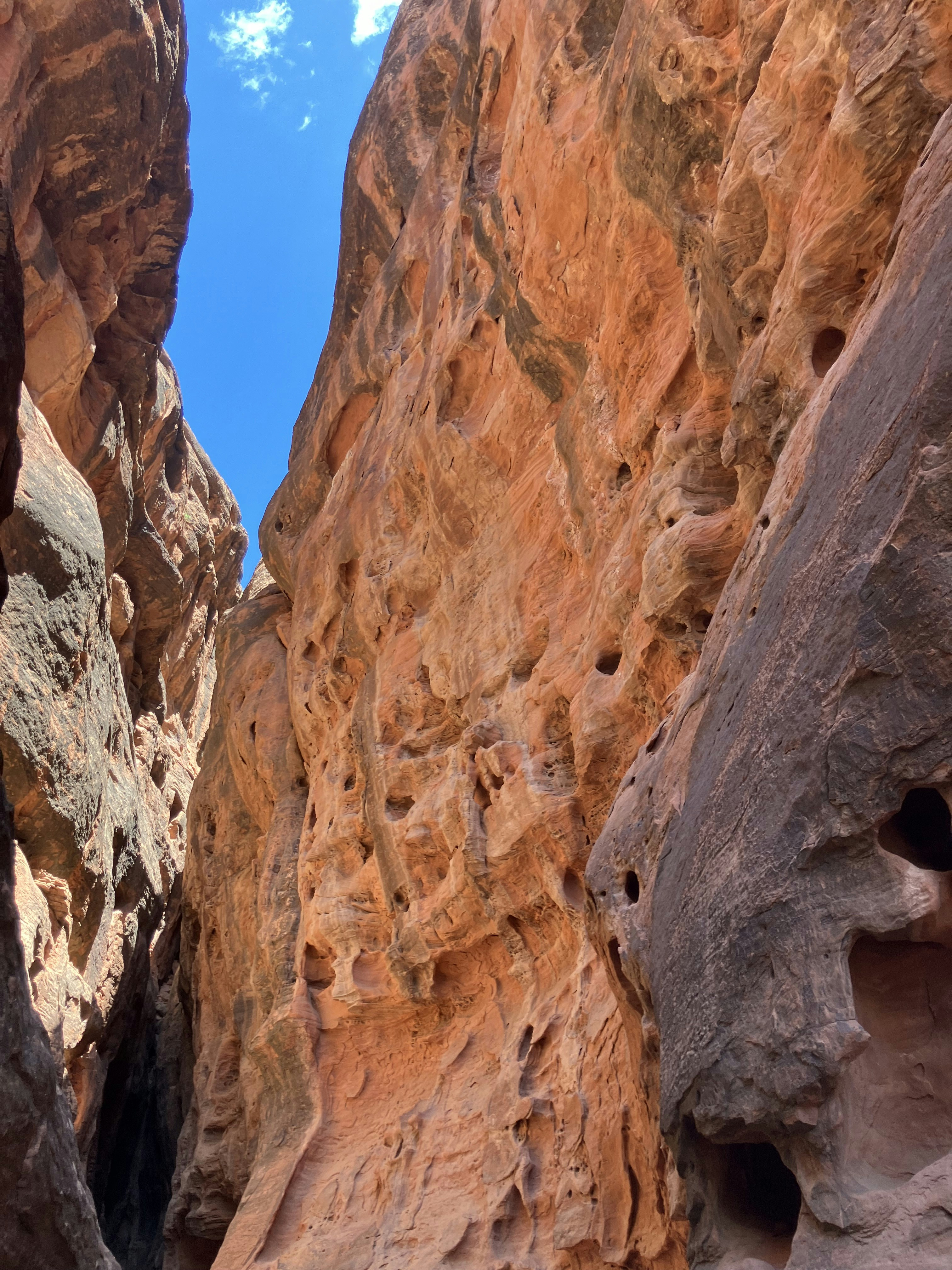 Photo by akh_artwork