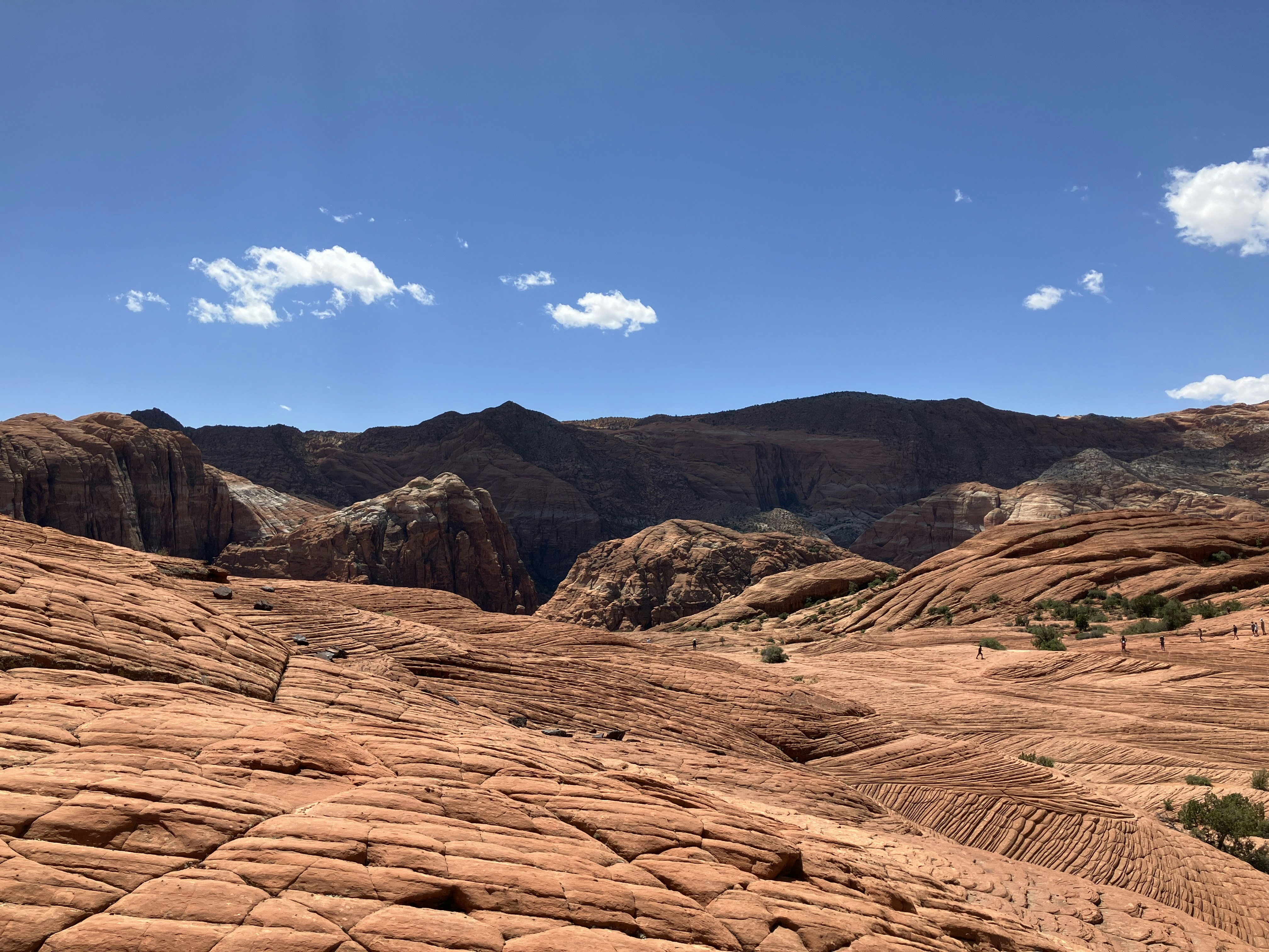 Photo by akh_artwork