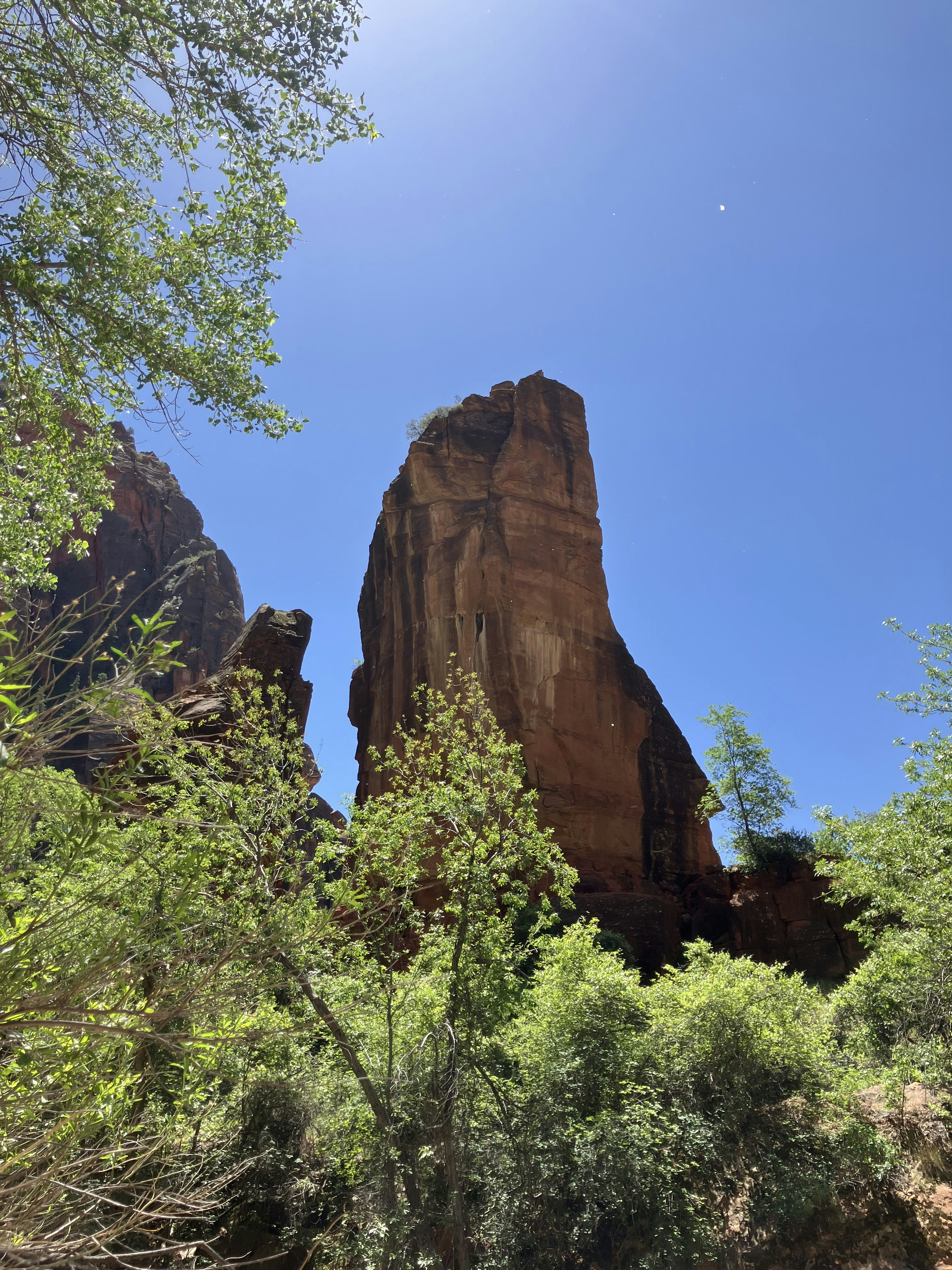 Photo by akh_artwork