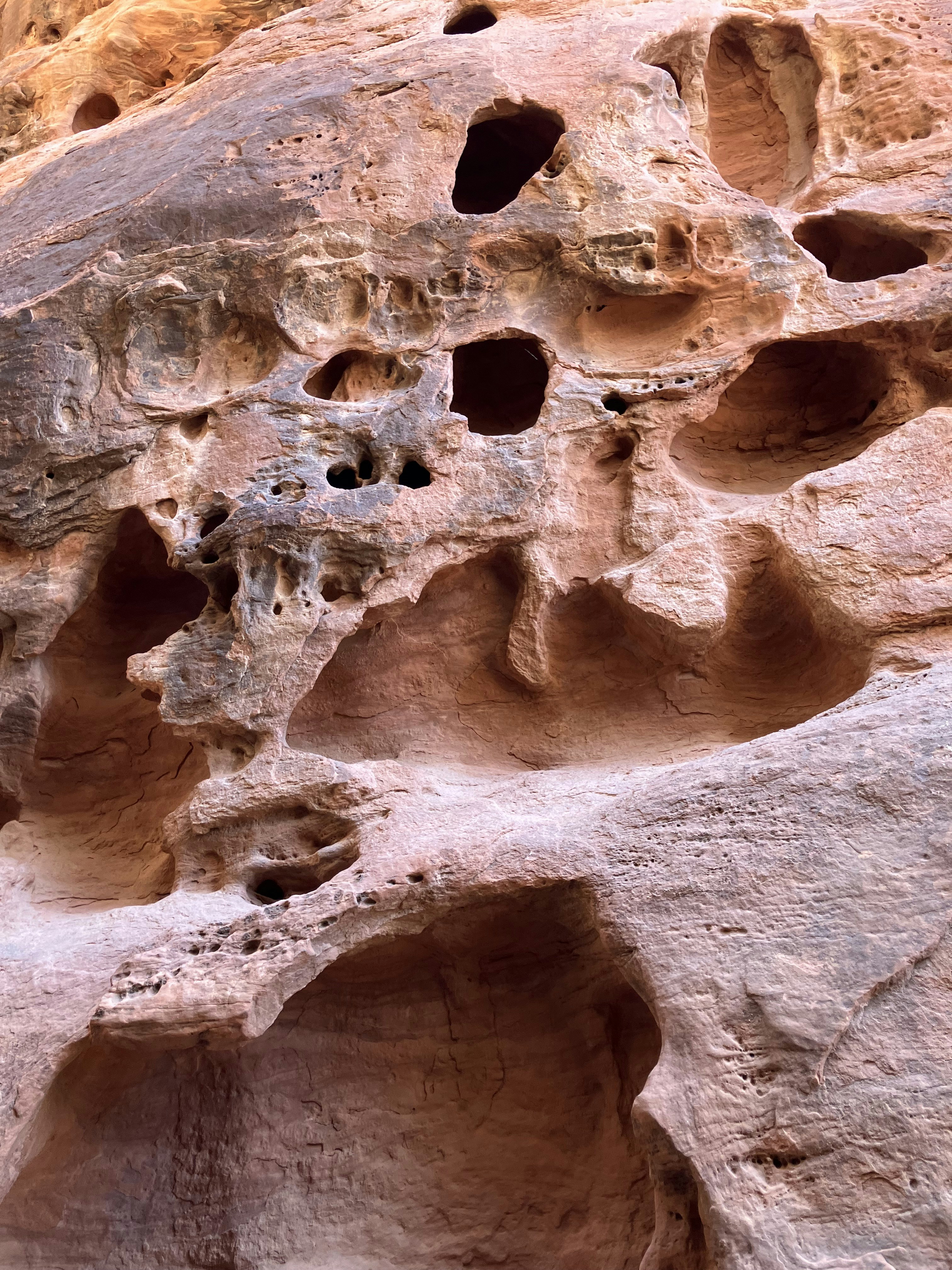 Photo by akh_artwork