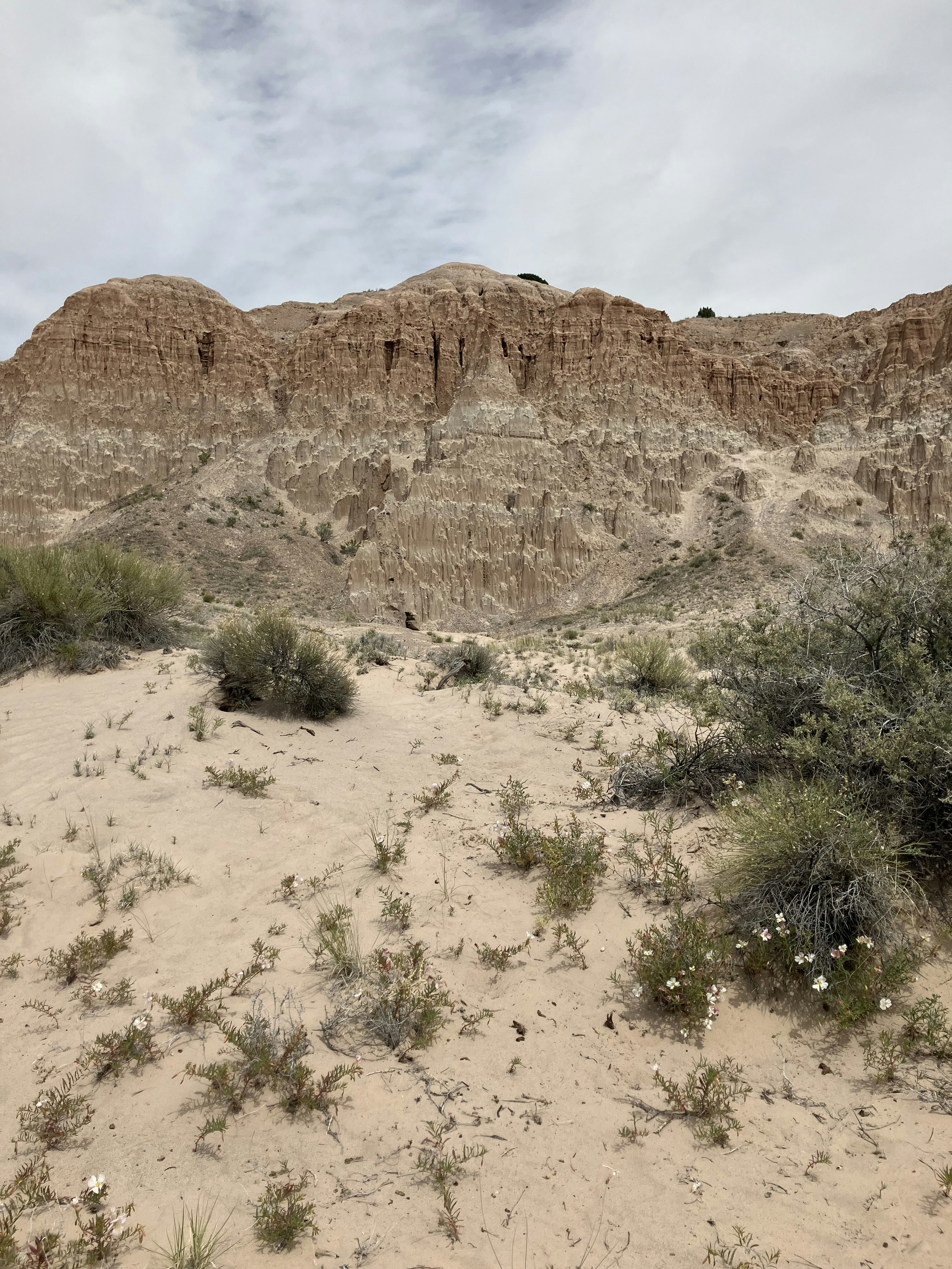 Photo by akh_artwork