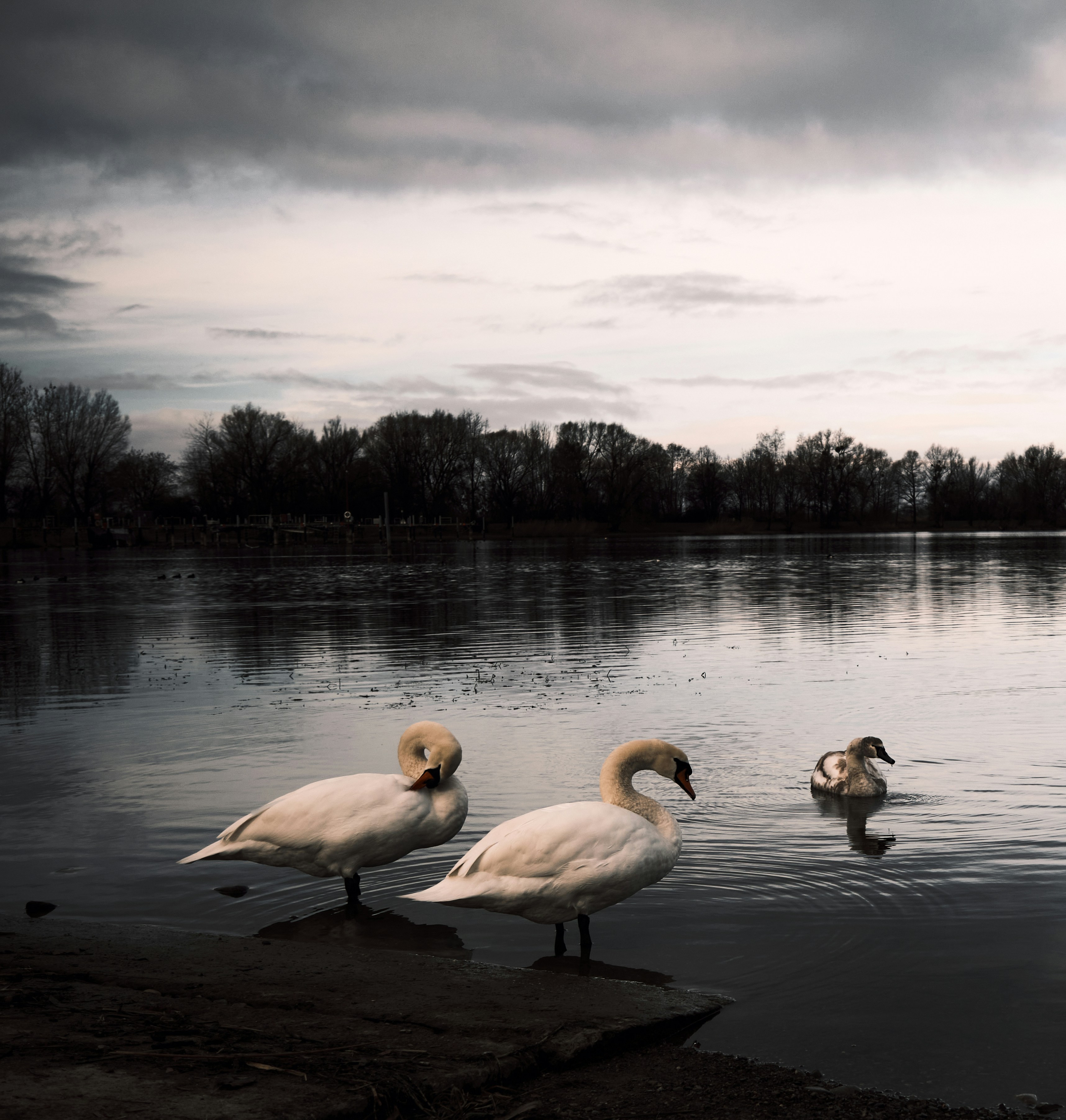 Photo by marcus_ganahl