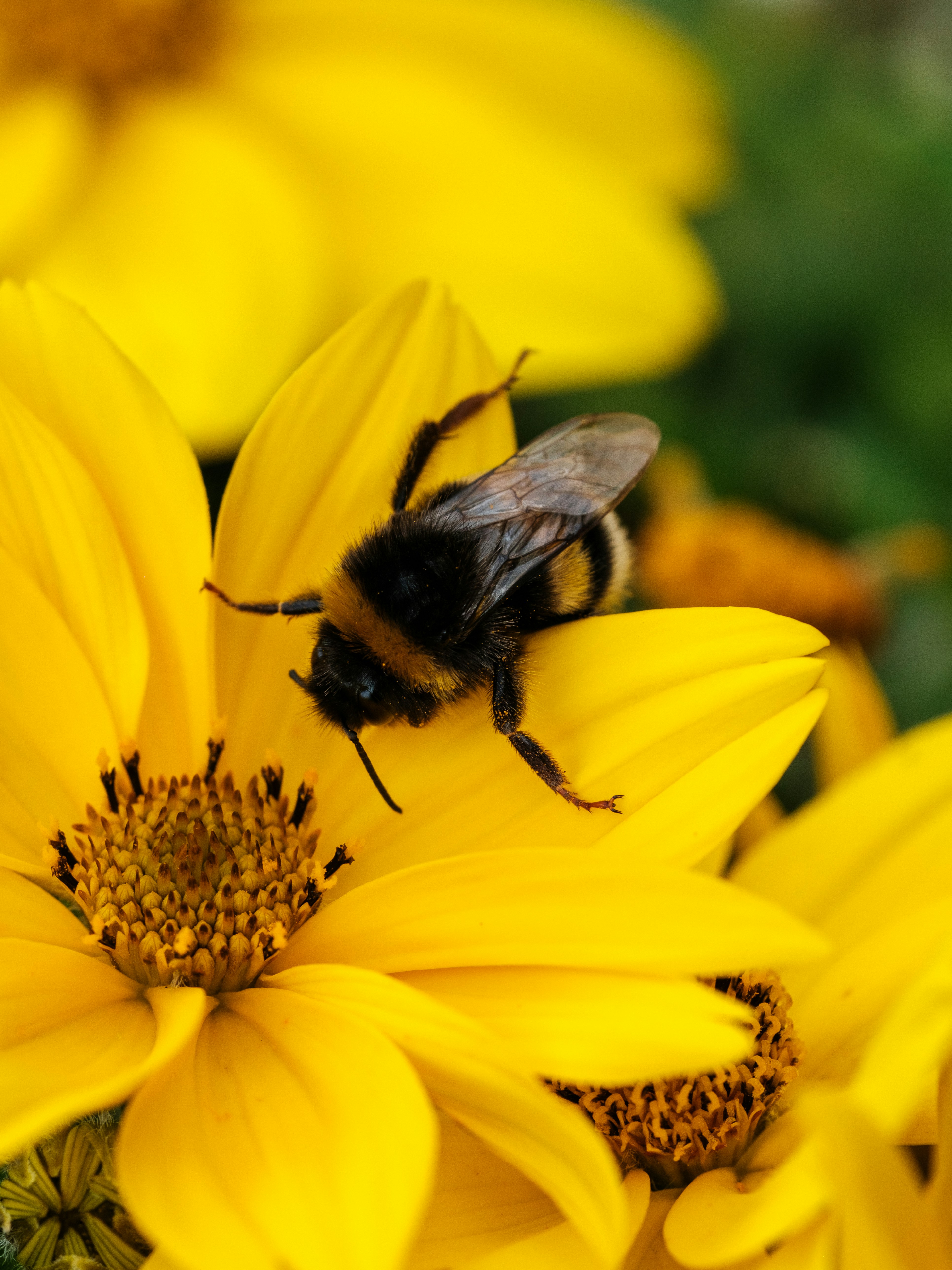 Photo by haberdoedas2