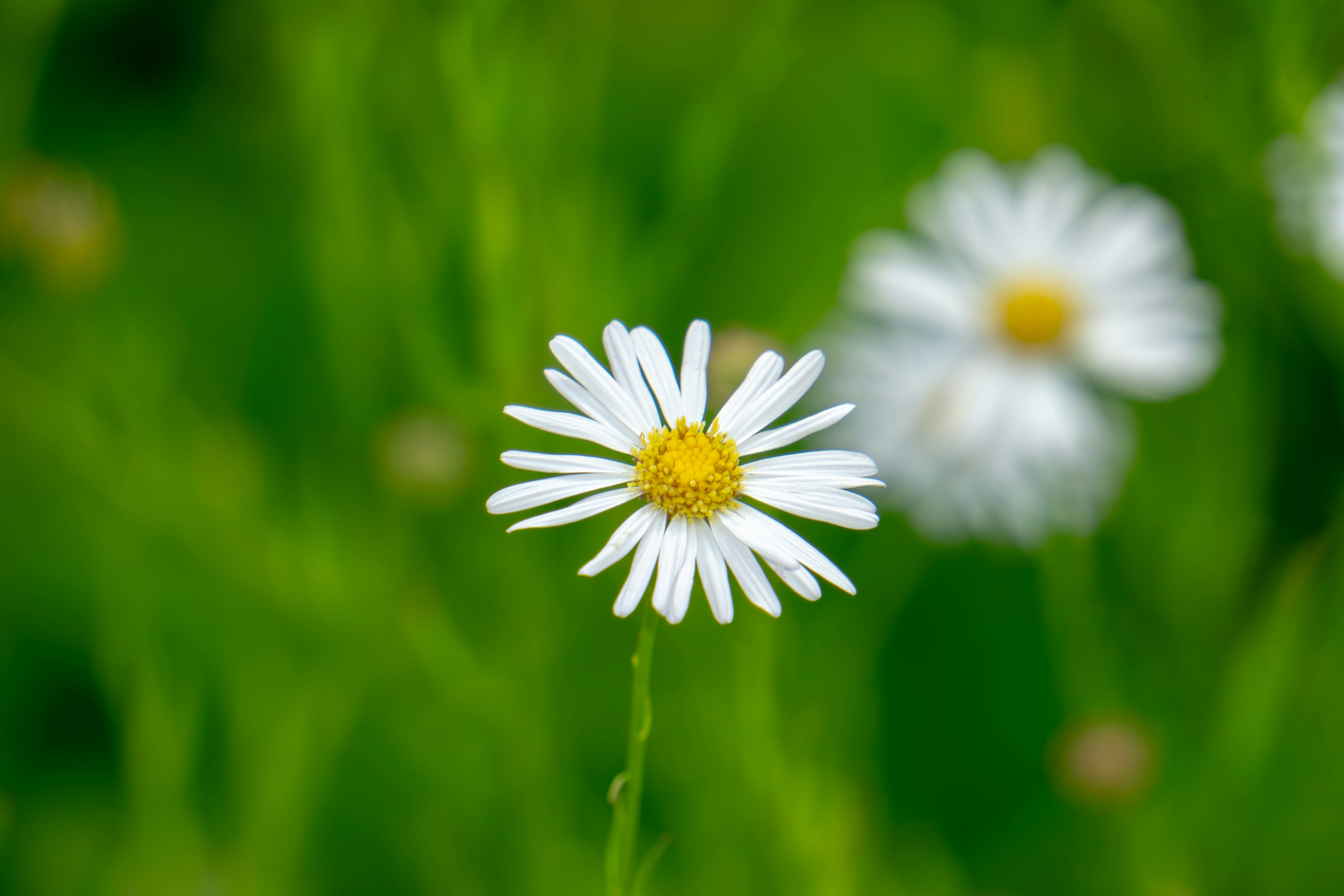 Photo by aravindreddytarugu