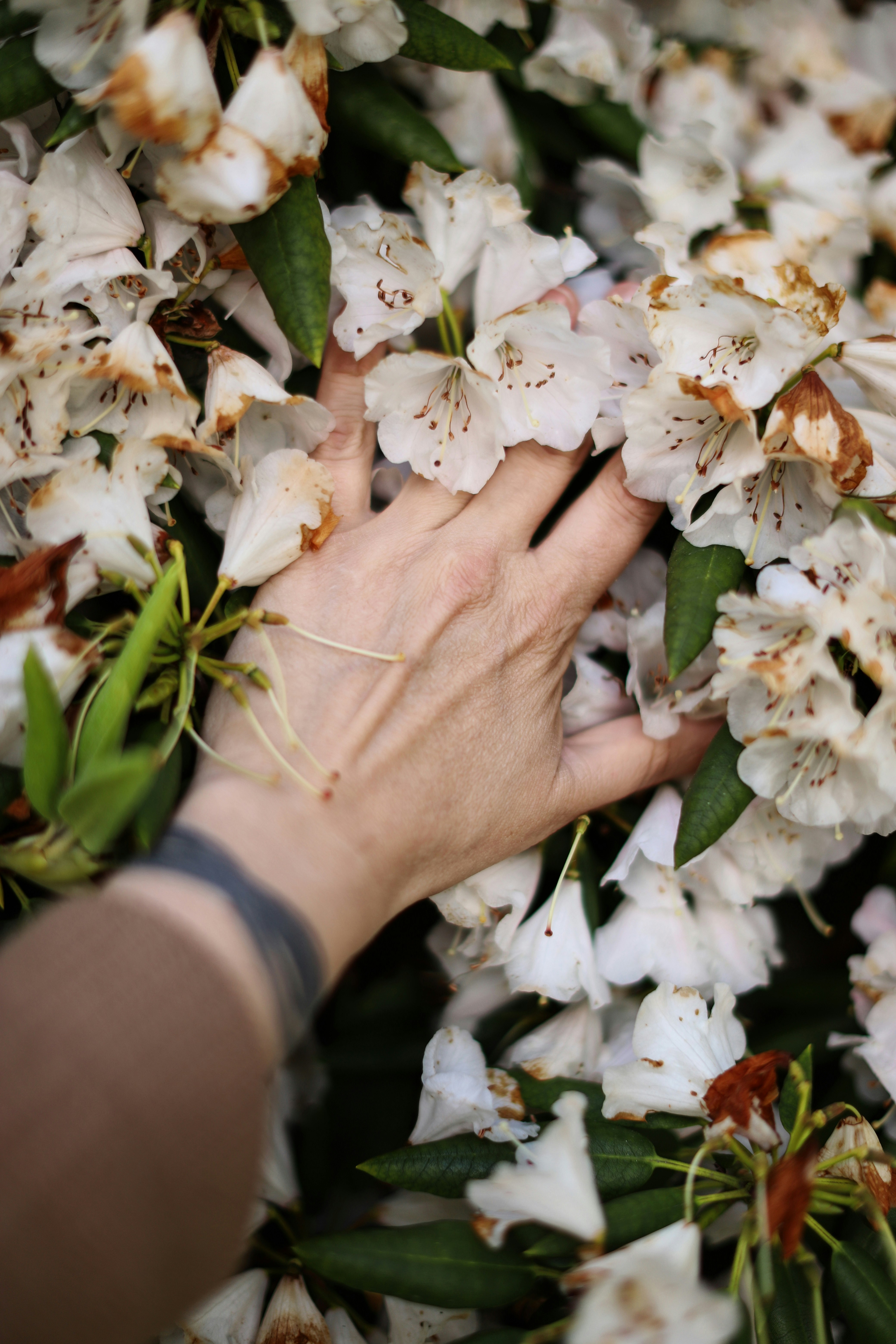 Photo by dearseymour