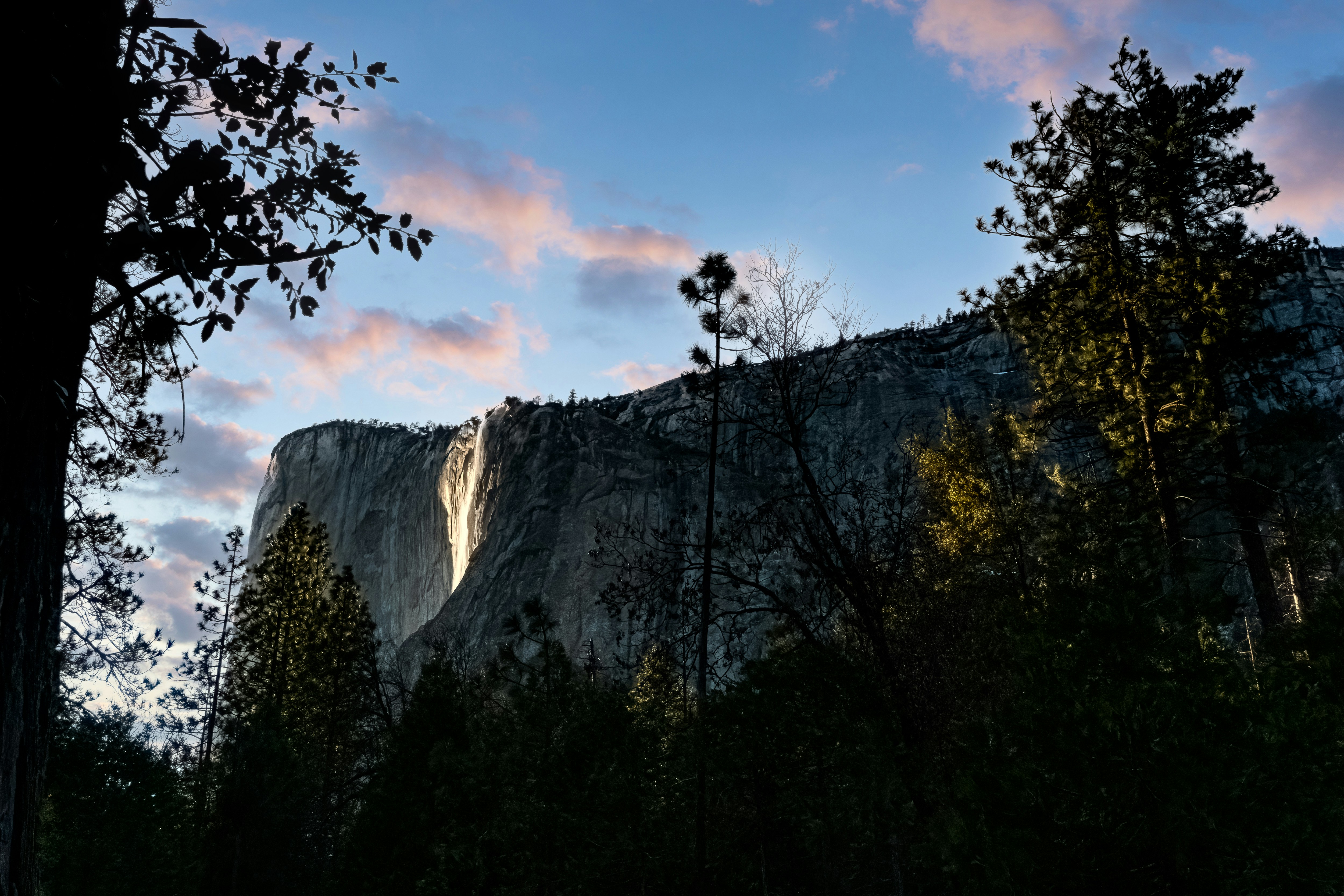 a view of a mountain with trees in the foreground
