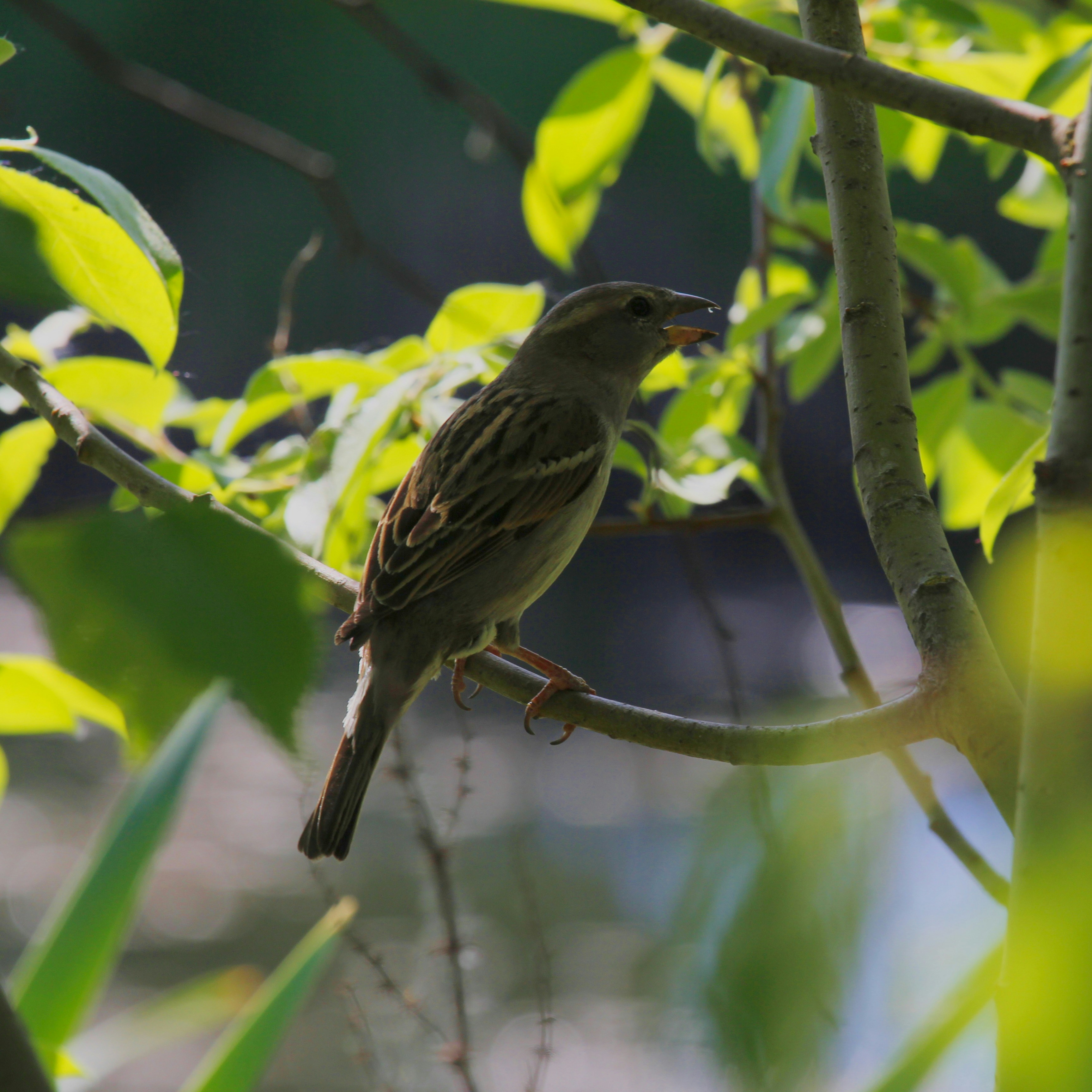 Photo by egemensahiin