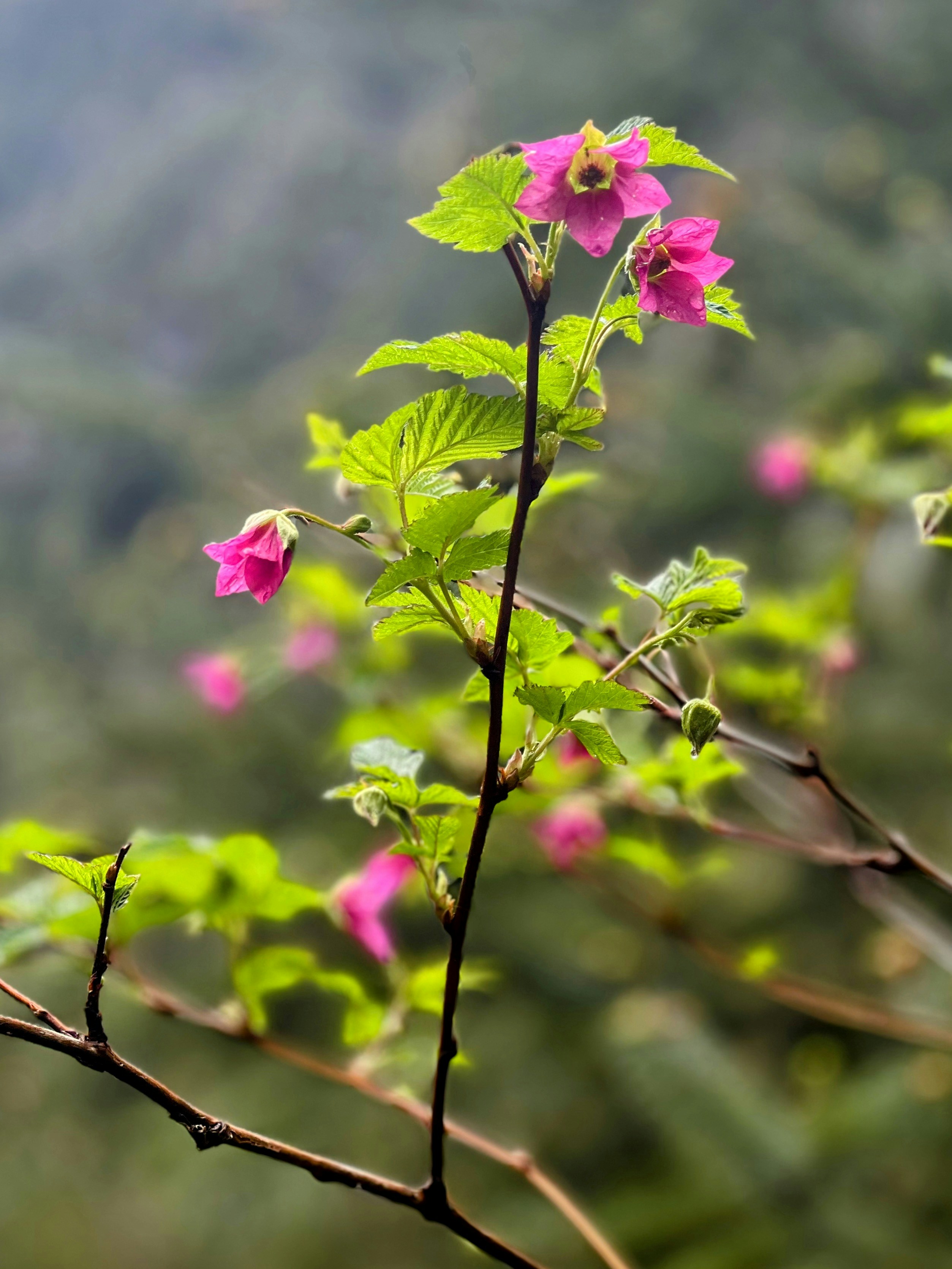 Accommodations in Ketchikan