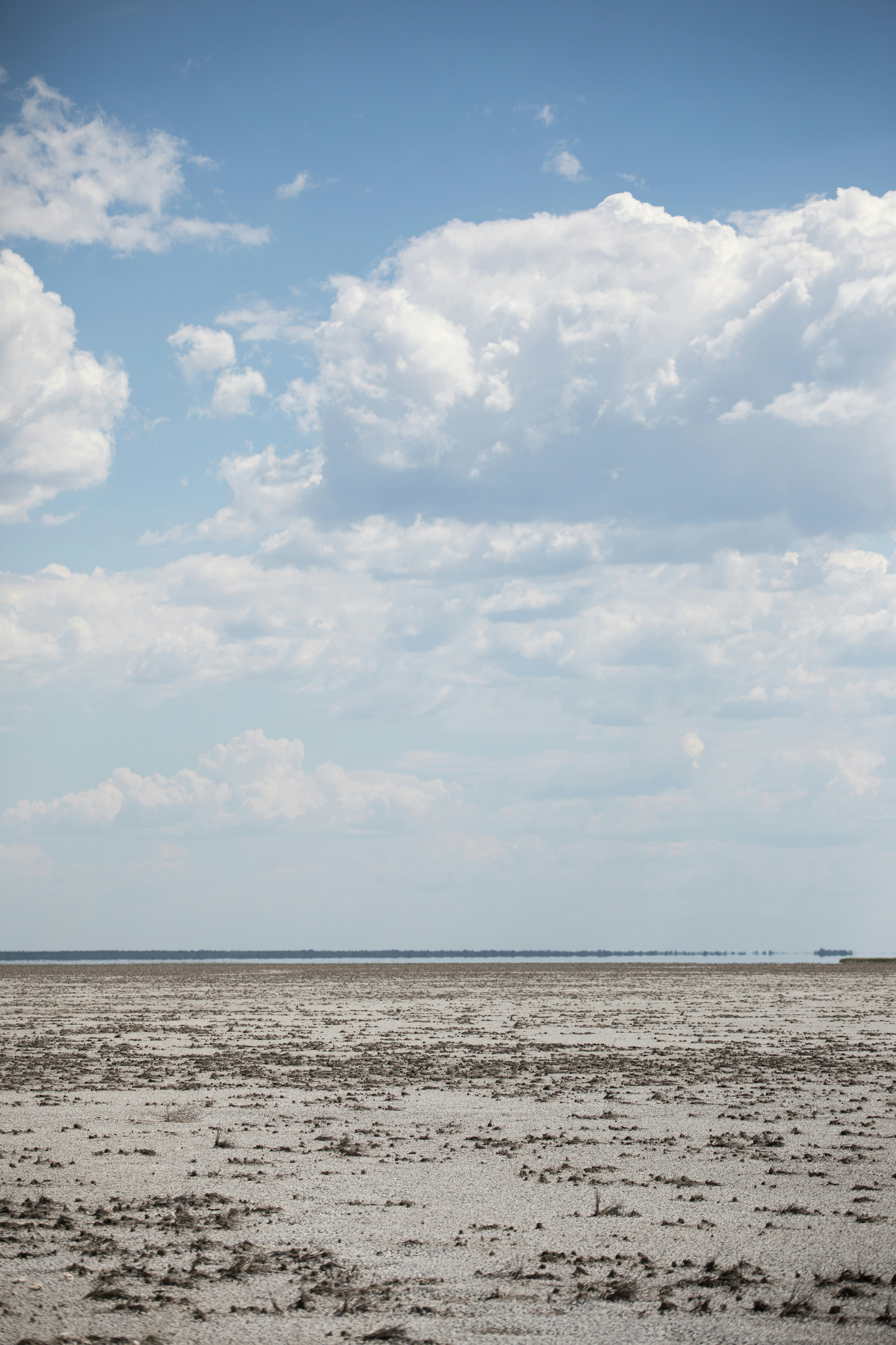 해변에서 말을 타고 있는 사람
